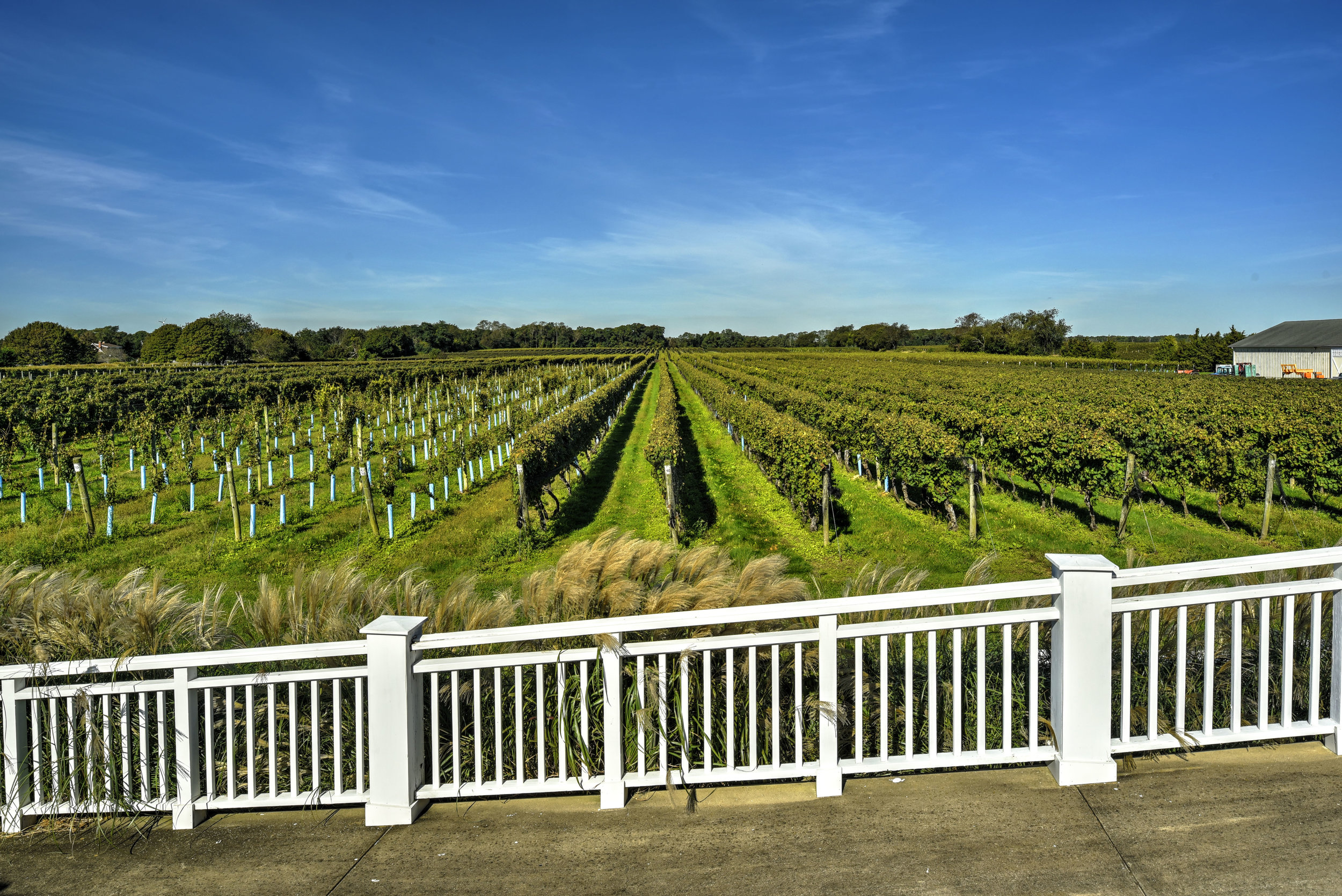 Bedell Cellars production11.jpg