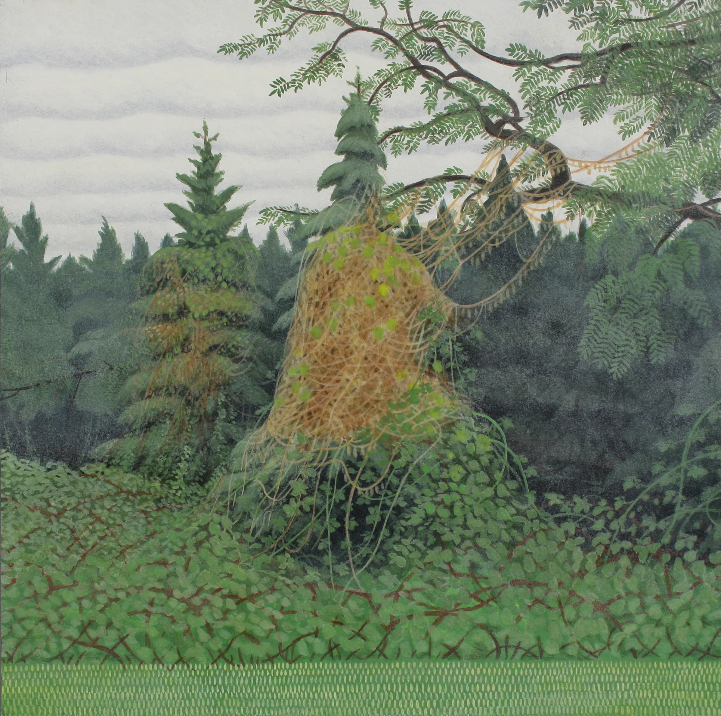 Overgrowth, 2012, 12" x 12", egg tempera and oil on panel