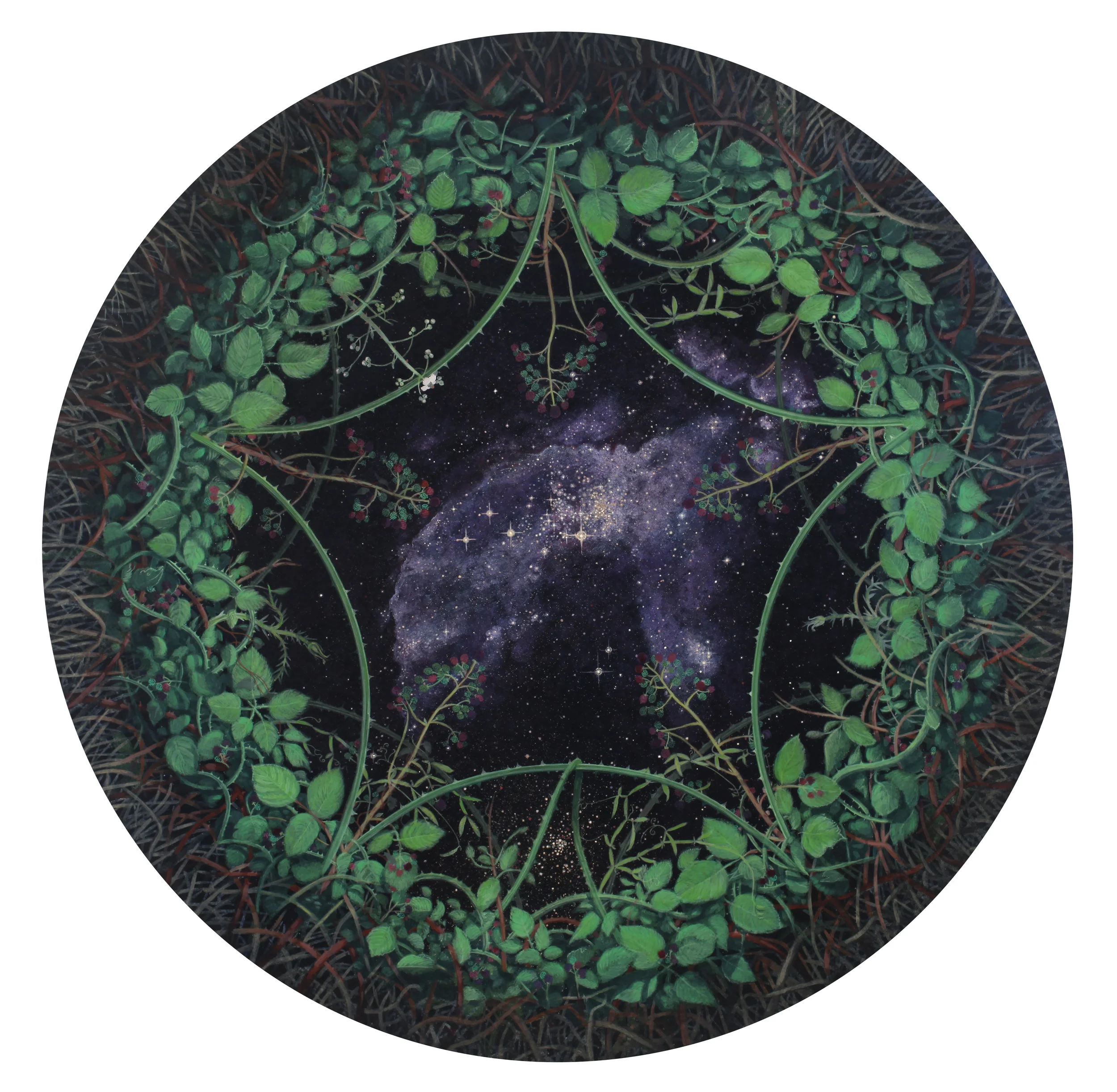 Himalayan Blackberries in Summer, 2011, 35" diameter, egg tempera and oil on panel