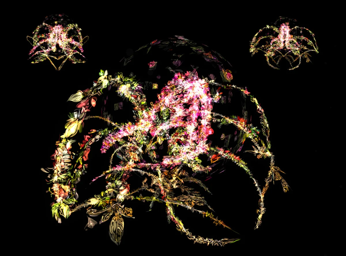 Bouquet Symmetry, 2019, 17.75" x 21.75", digital print mounted on lightbox