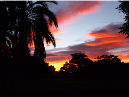Sunset.png