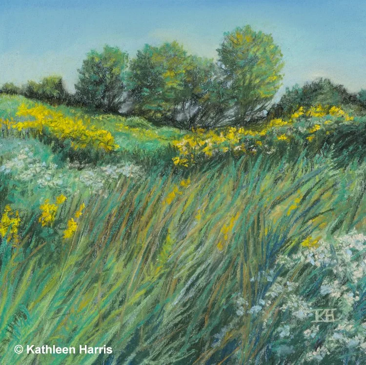 Harris_Prairie-meadow-final_T5A6988.jpg