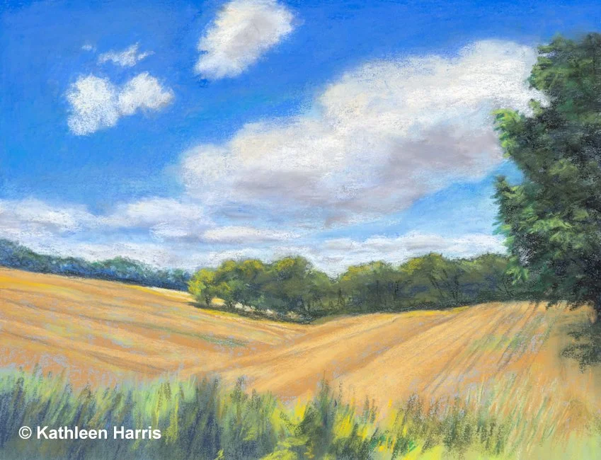 Harris-_August-Hayfield_091924.jpg