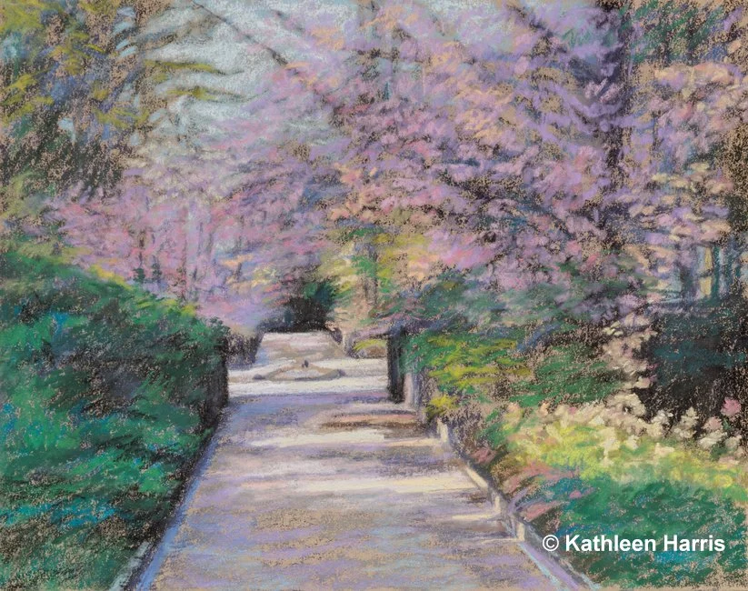 Harris-Azalea-Court-Path-Duke-Gardens-p9000-080423-final.jpg
