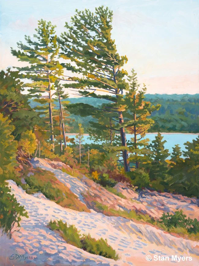 Enduring-Pines.jpg