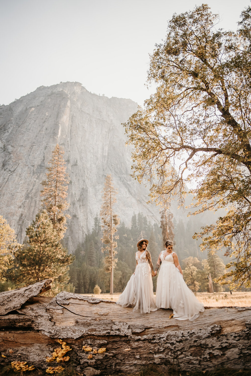 Yosemite_National_Park_Kylie_Farmer_Photography_26