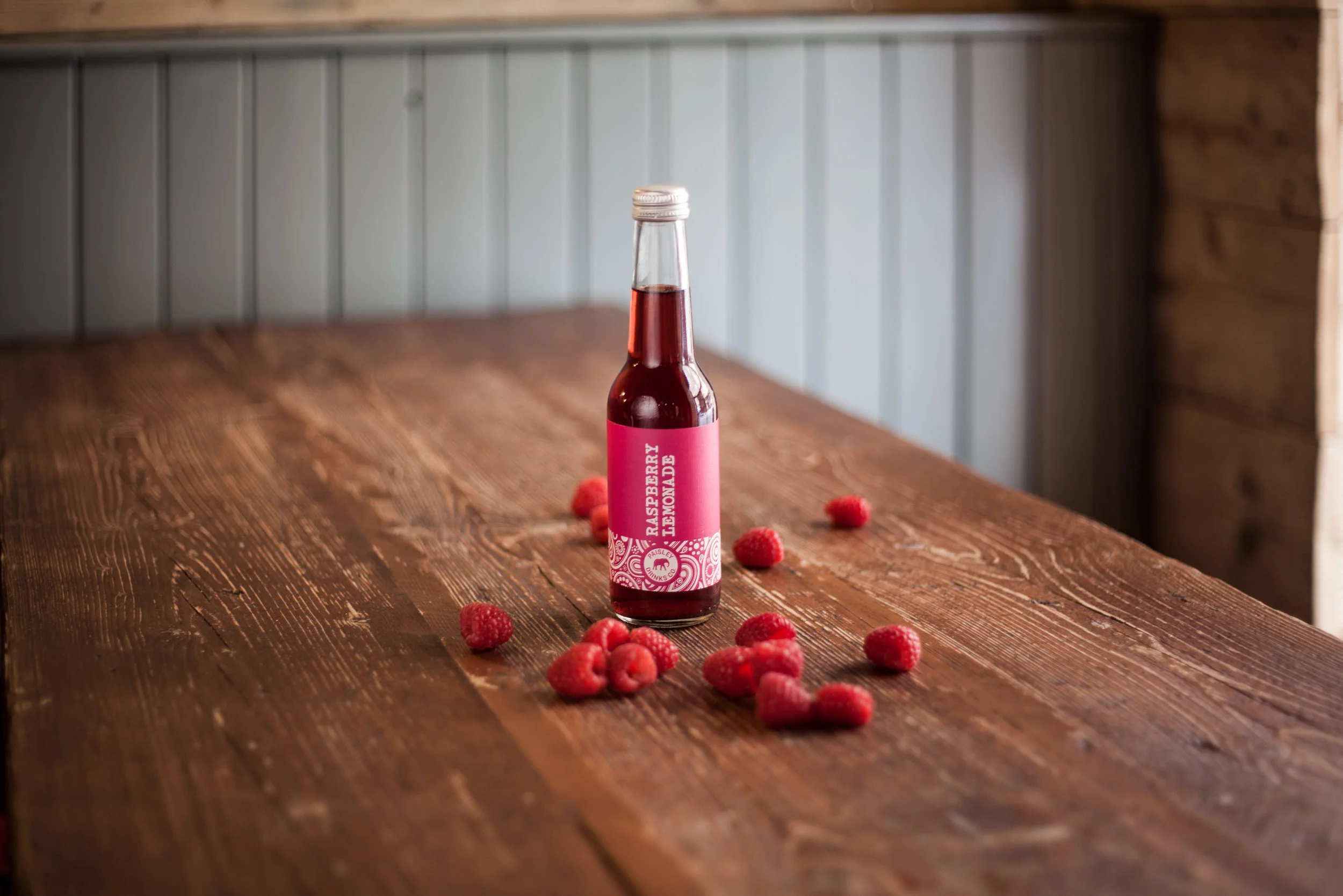PDC_Raspberry_1.jpg