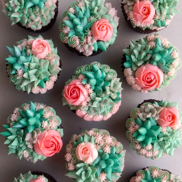 Succulent Cupcakes