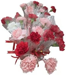 MothersDayFlowersEracedBackground250.jpg