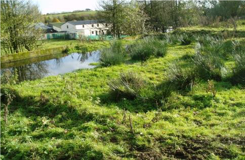 Drip Housing Estate before.png