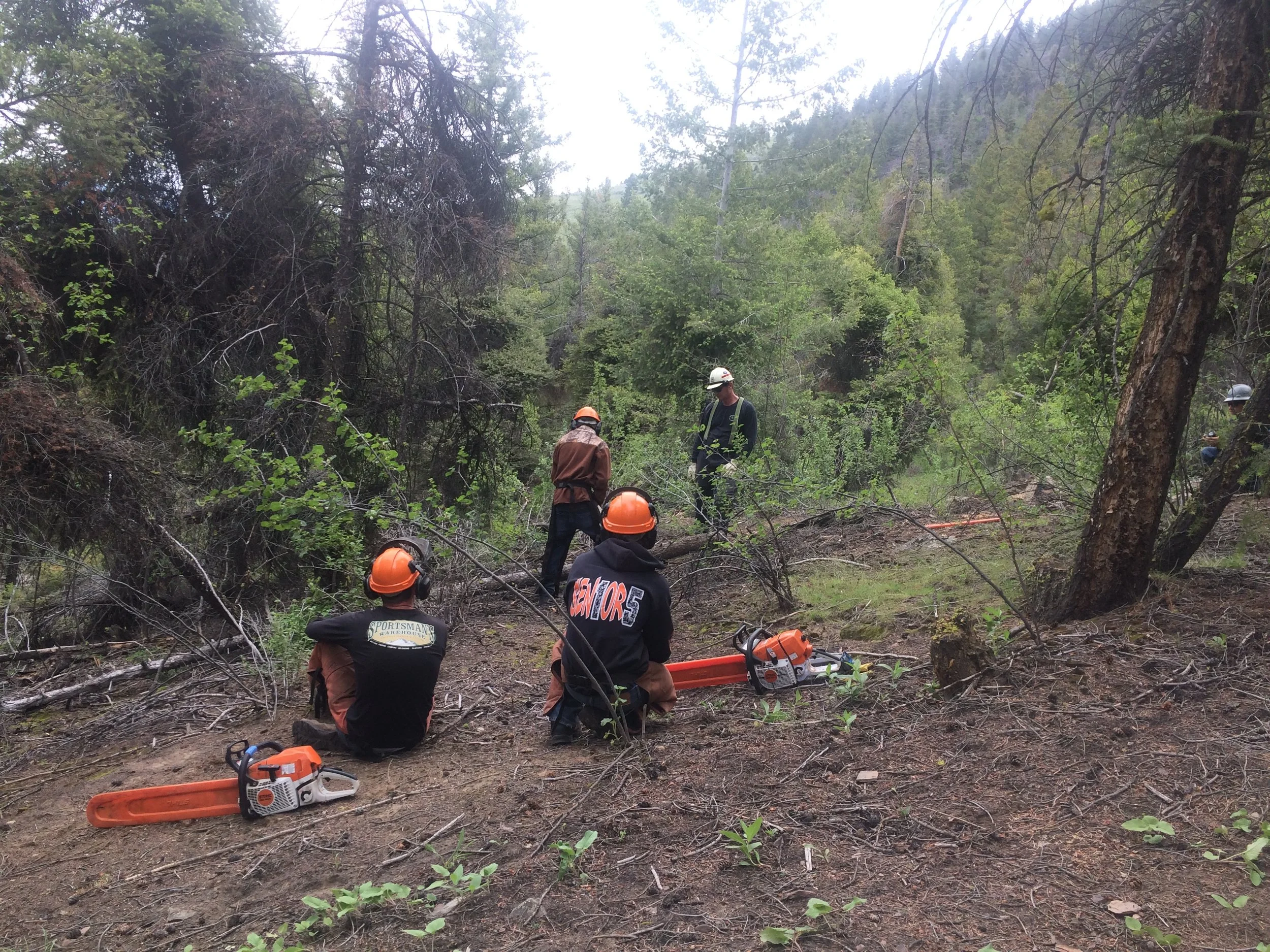 Chainsaw / Crosscut Class