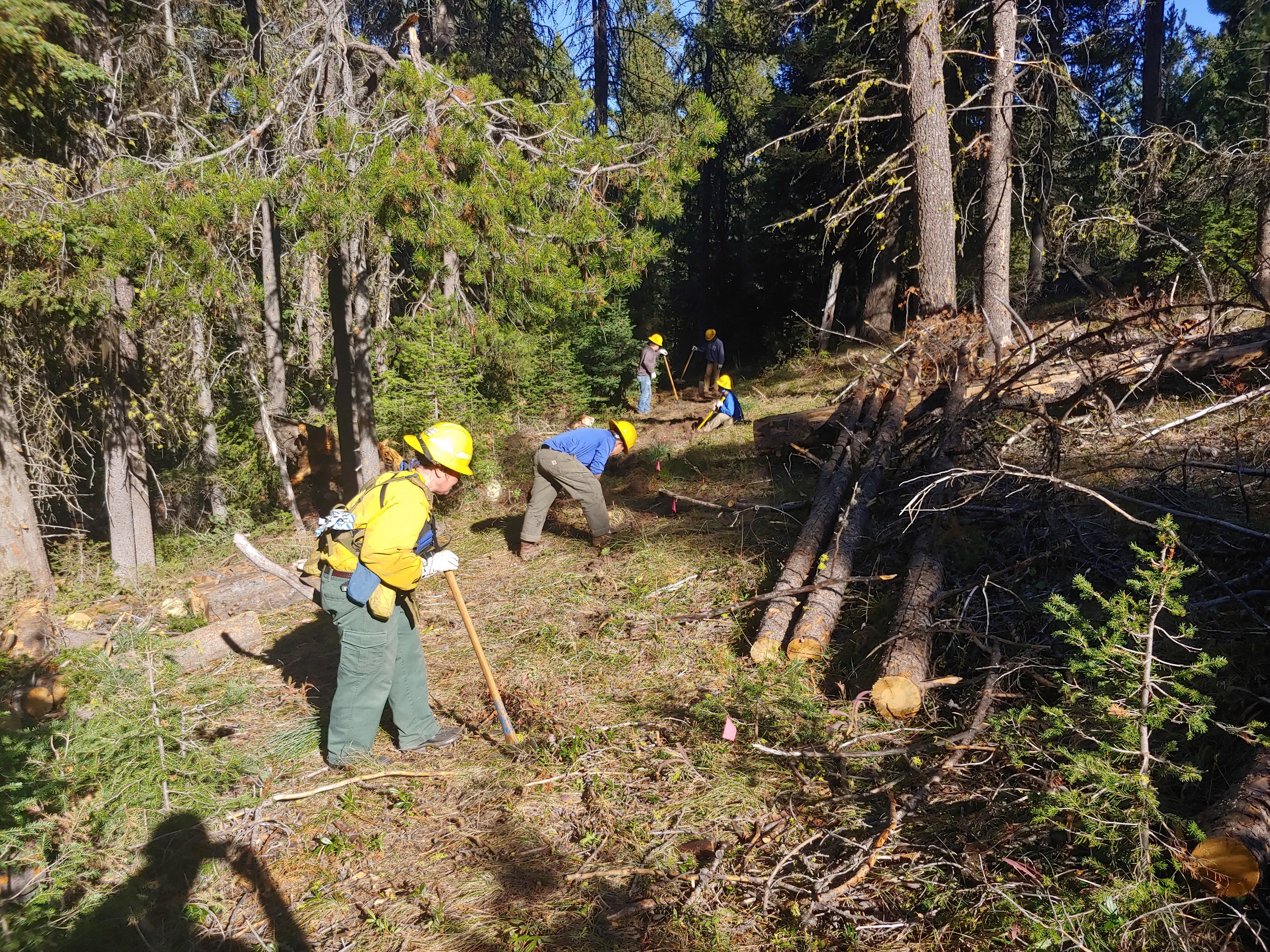 USFS &amp; SCA members cleared tread for the new reroute