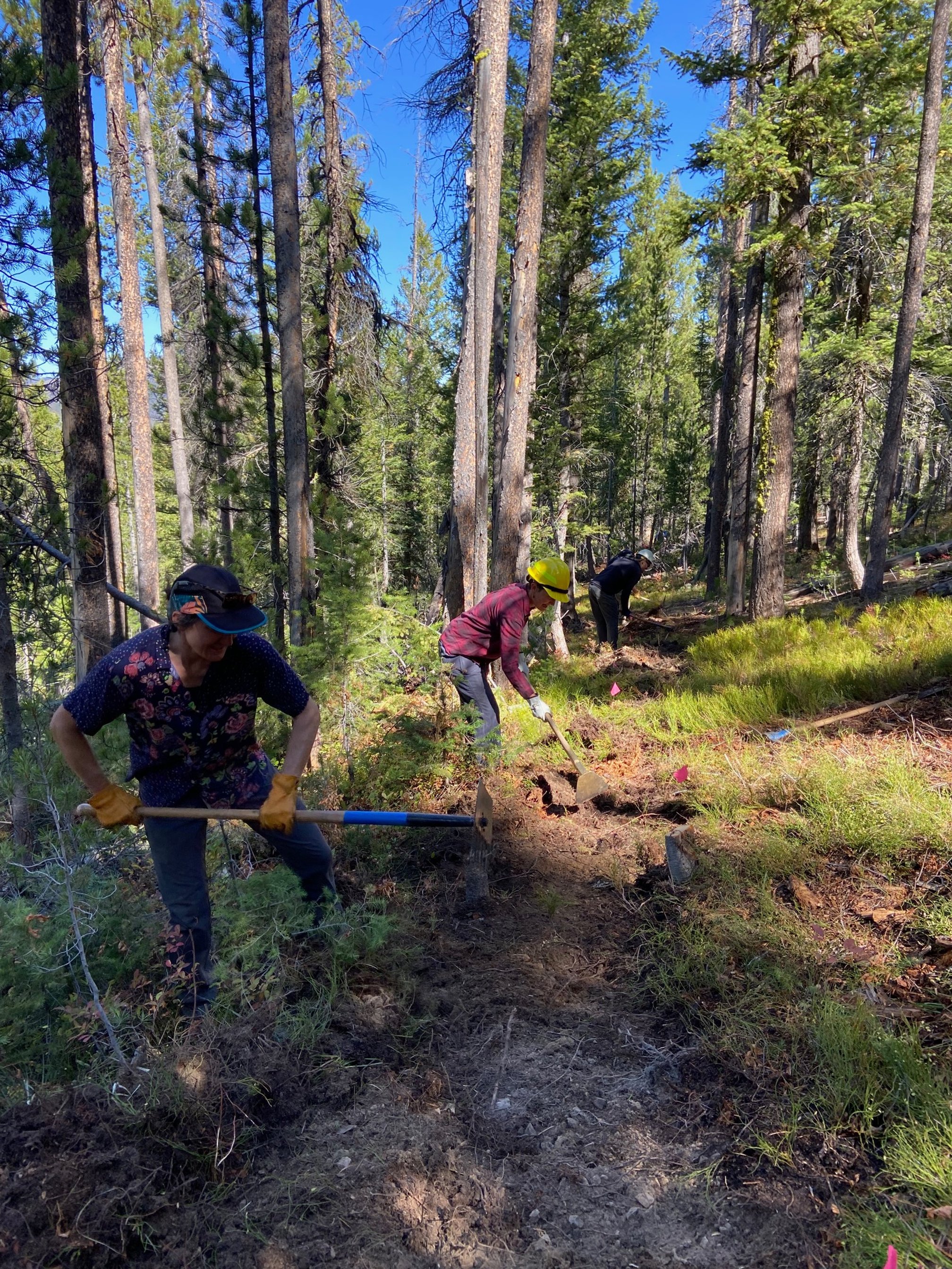 Sara Campbell &amp; Gina Knudson work on clearing trail