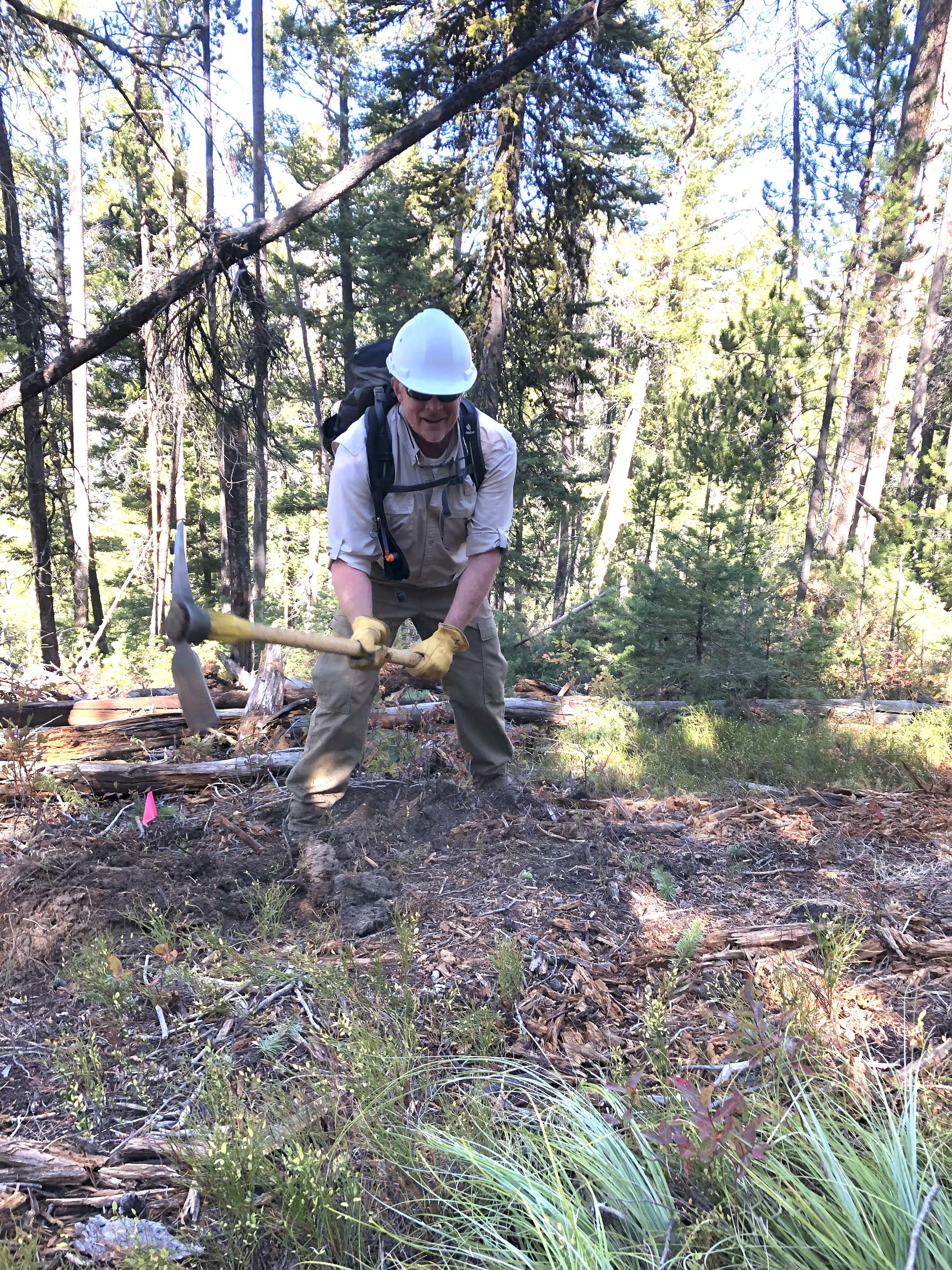 Bill Baer puts his back into clearing the new trail