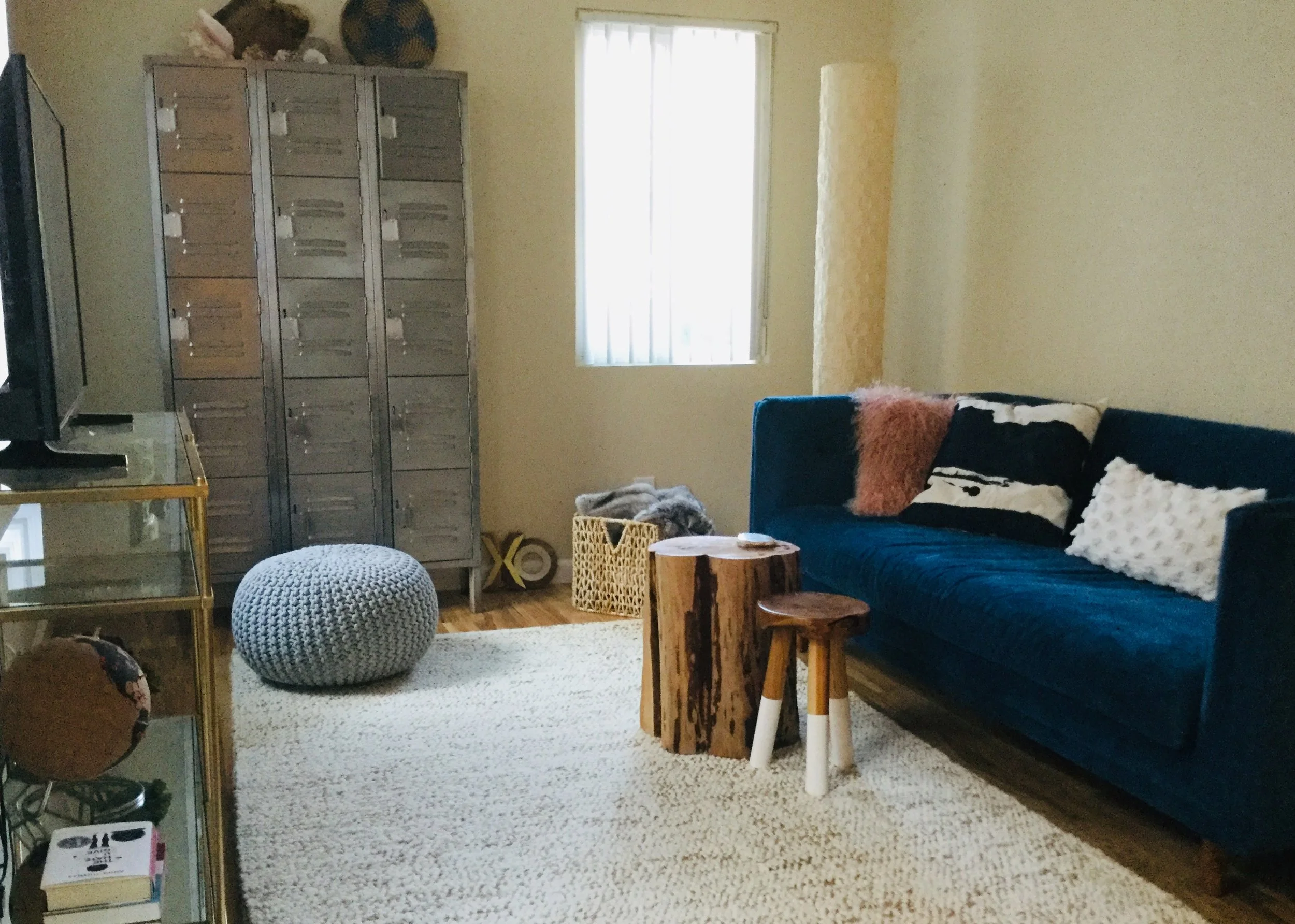 First Grown Apartment living room 4.jpg