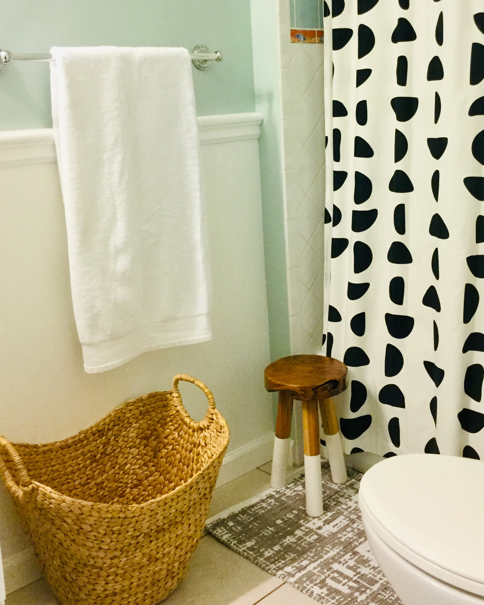 First Grown Apartment bathroom.jpg