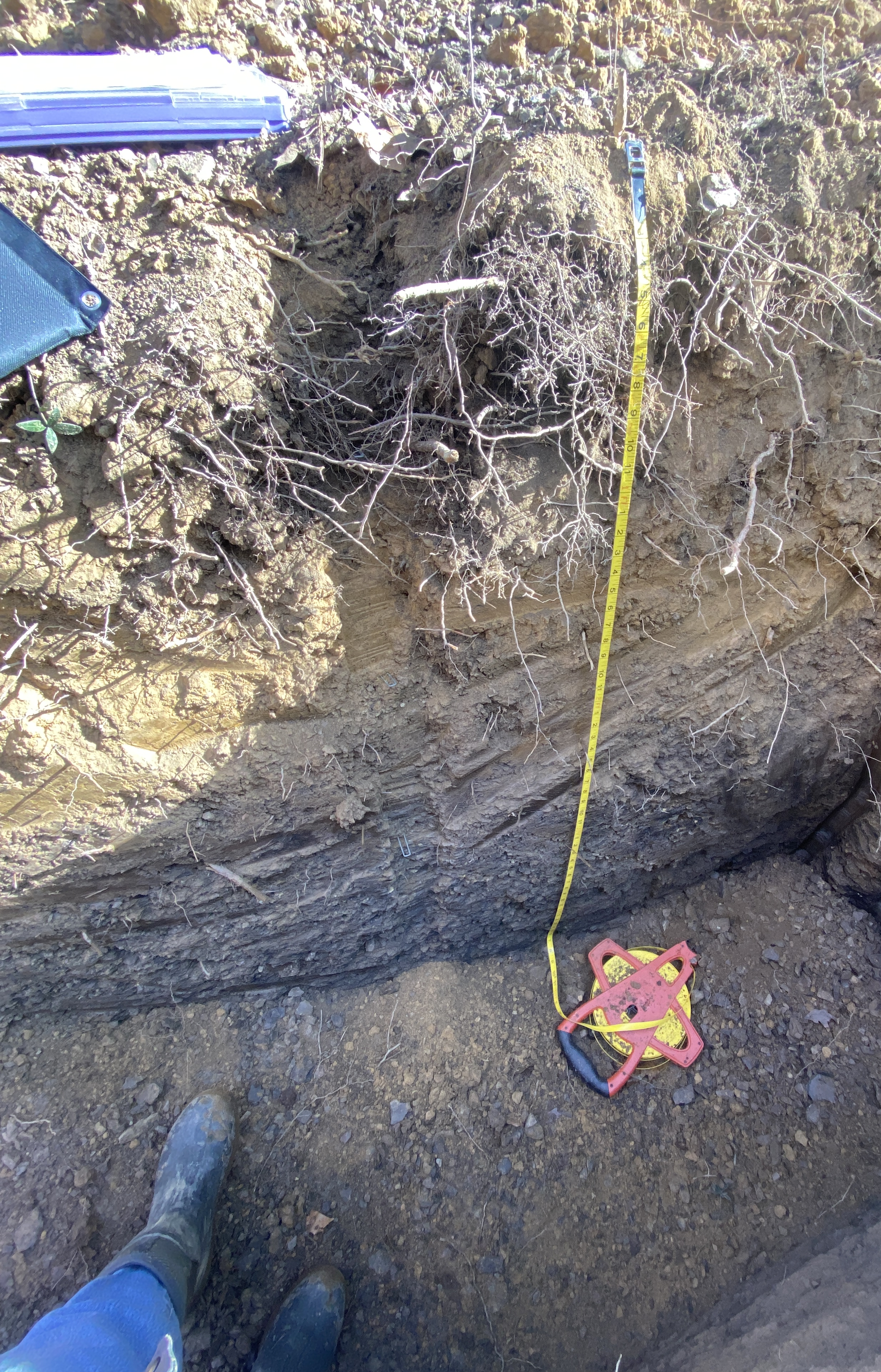 www pppptestpit long.png