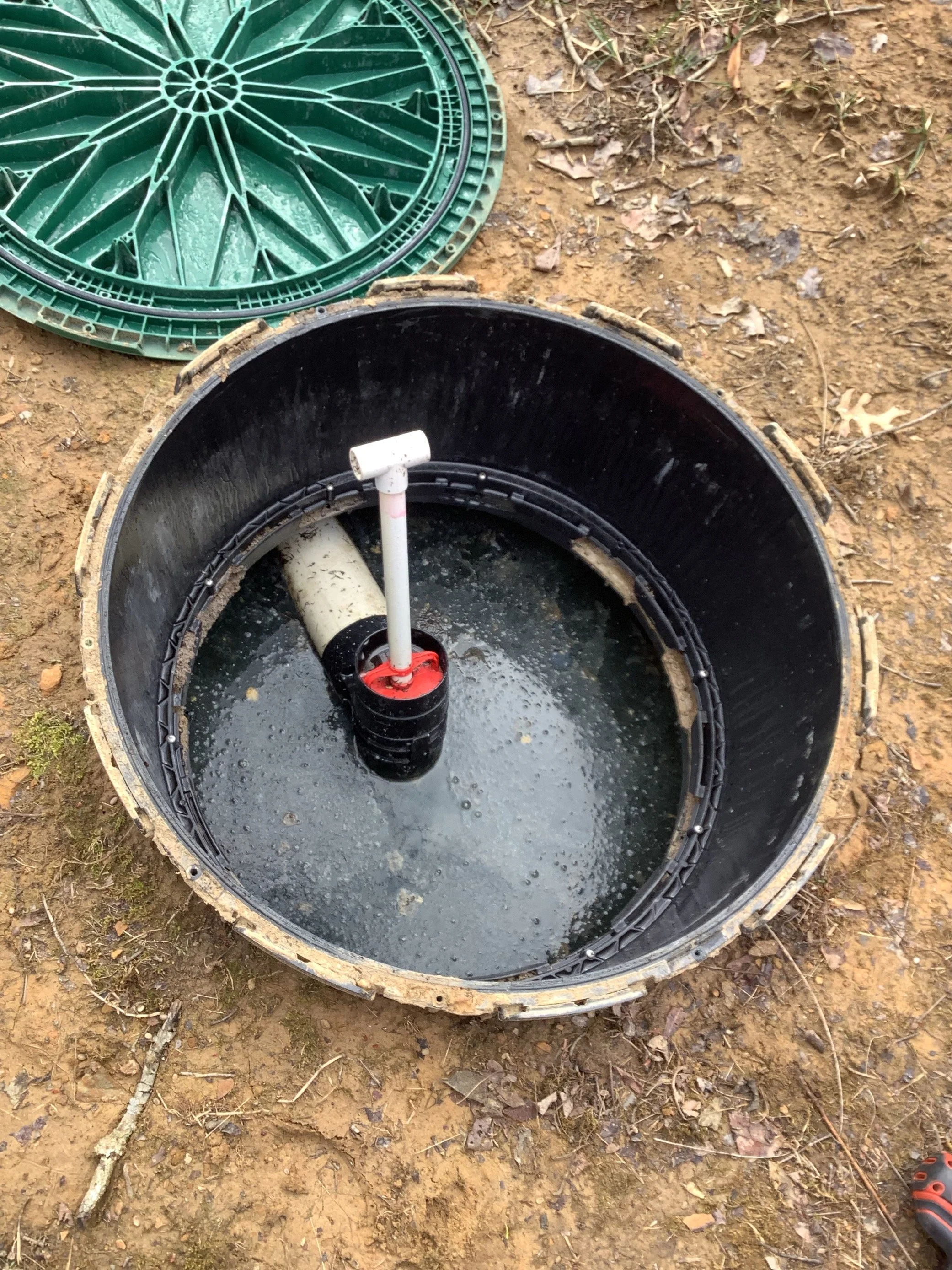 Image - 2026-03-13T110638.654.jpg