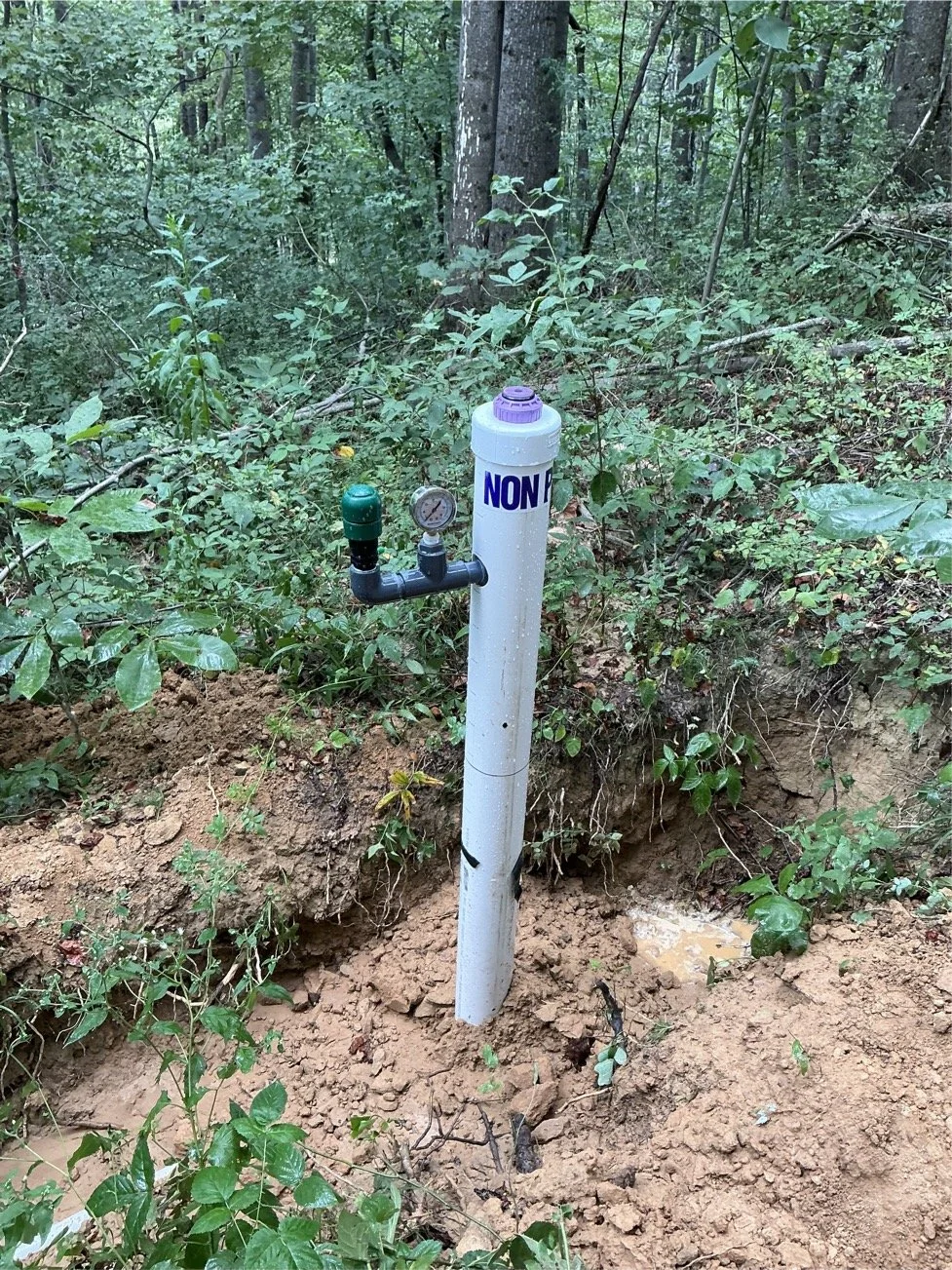 Image - 2026-03-13T103006.143.jpg