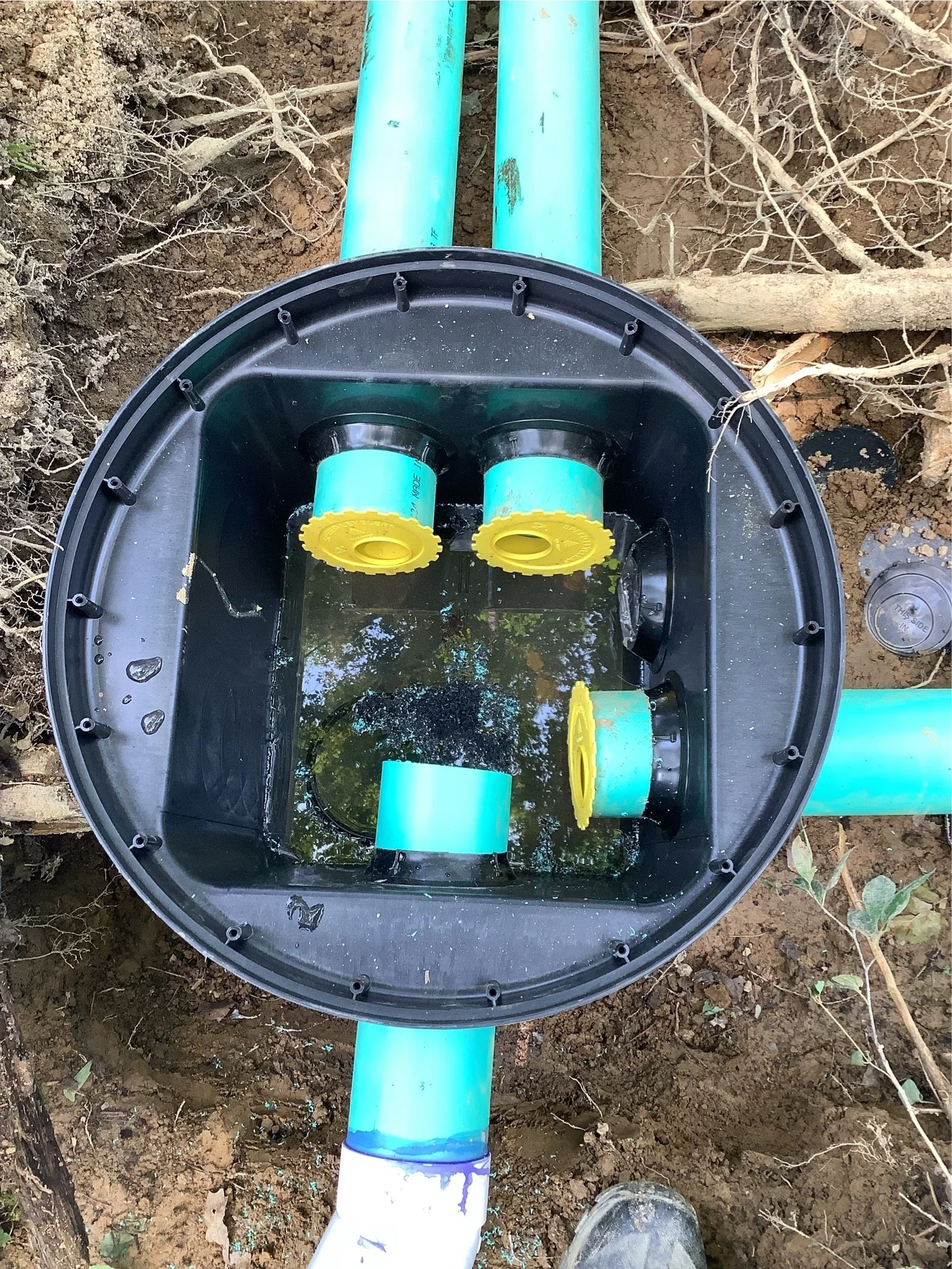 Image - 2026-03-13T133216.997.jpg