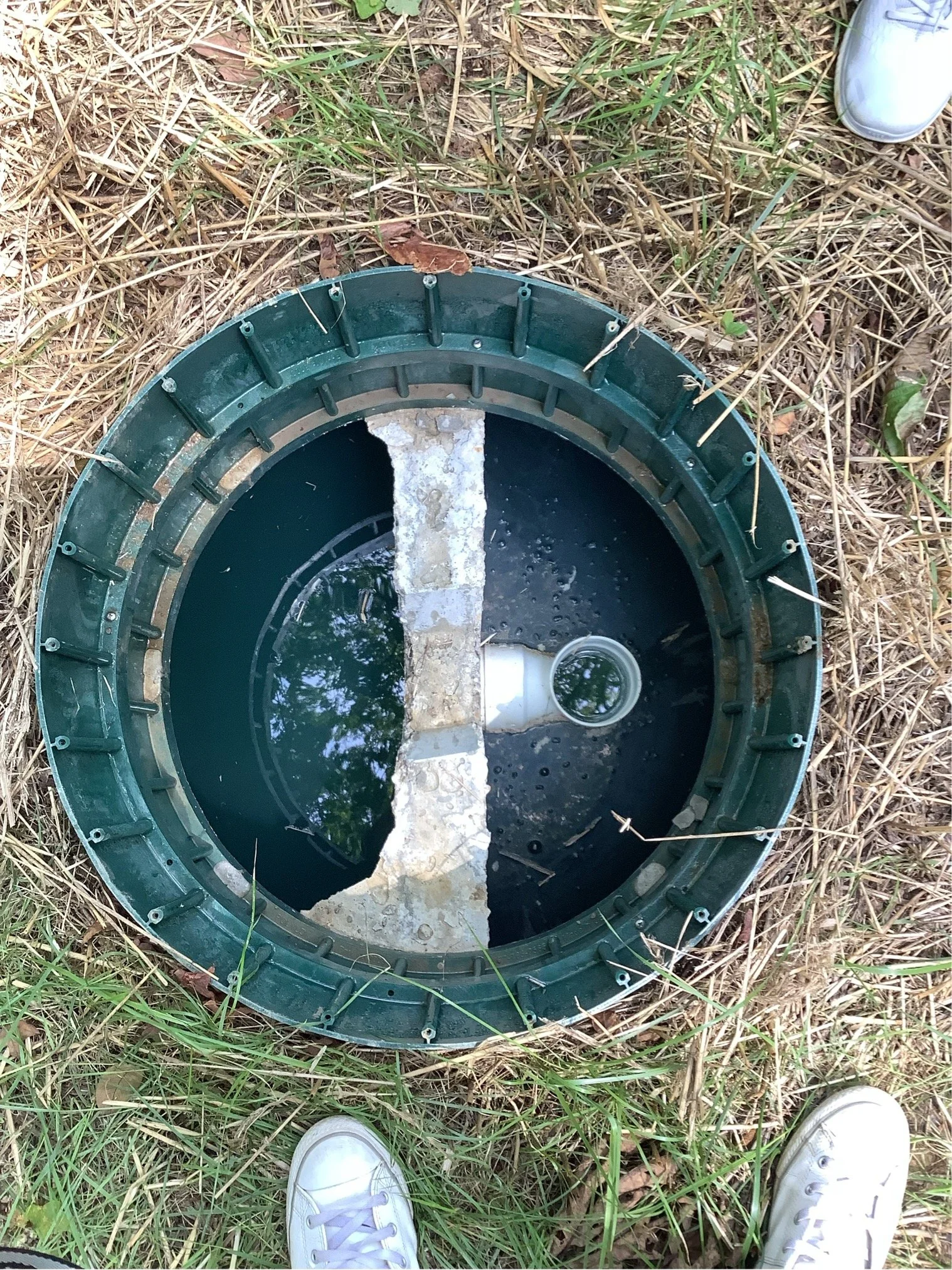 Image - 2026-03-13T133112.210.jpg