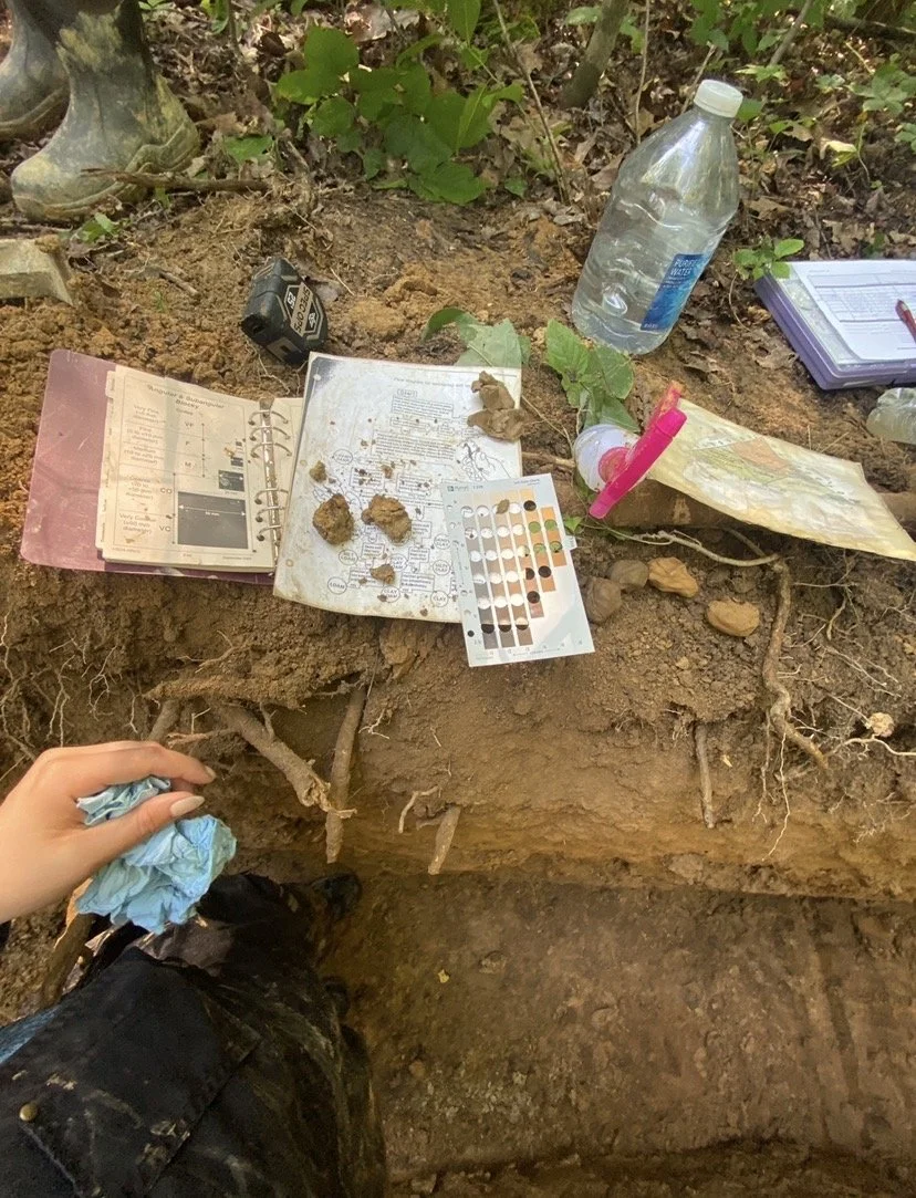 soil test pit photo.jpg