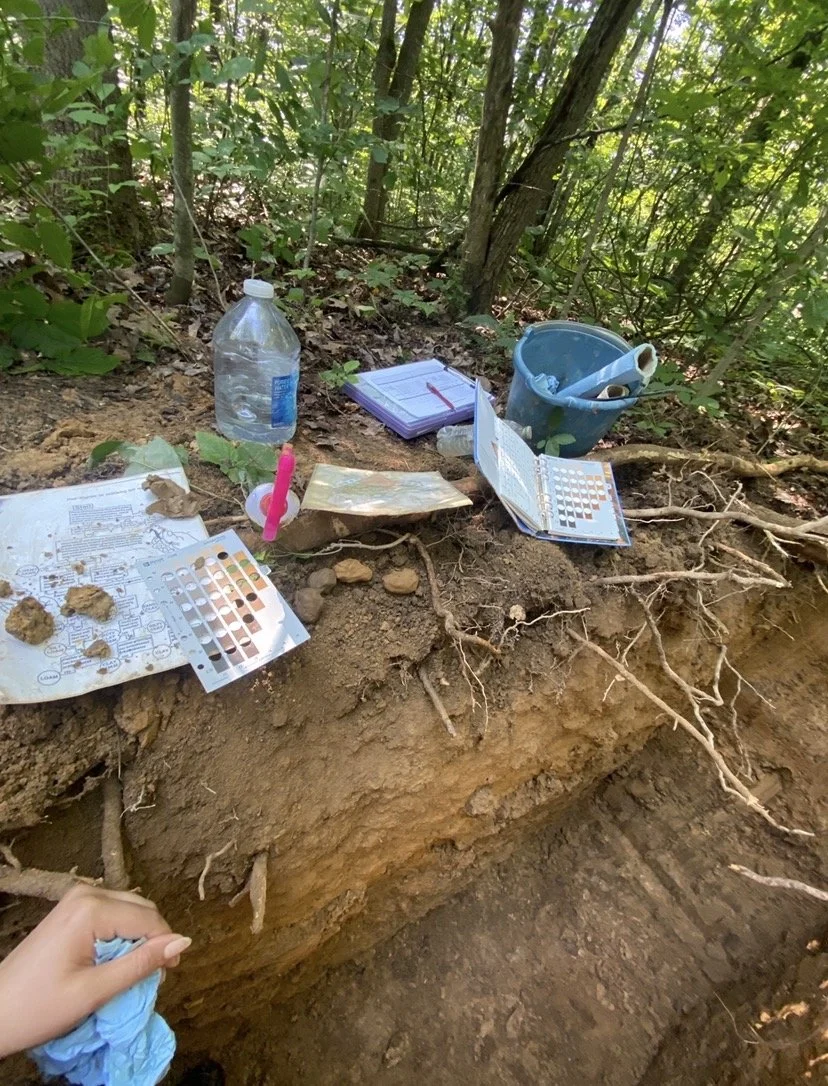 soil test pit photo 2.jpg