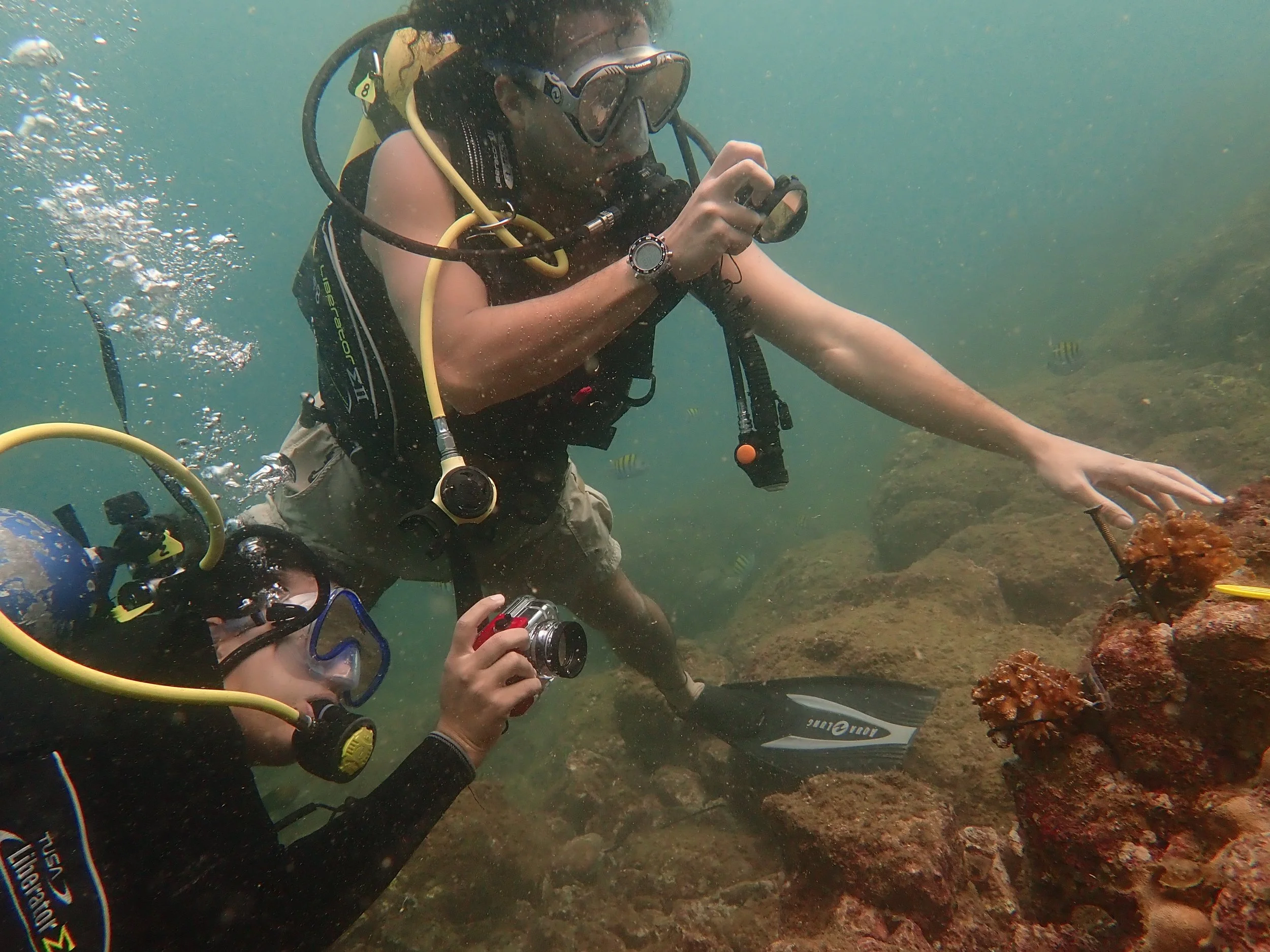Raising Coral Costa Rica aims to help rebuild the rainforests of the sea