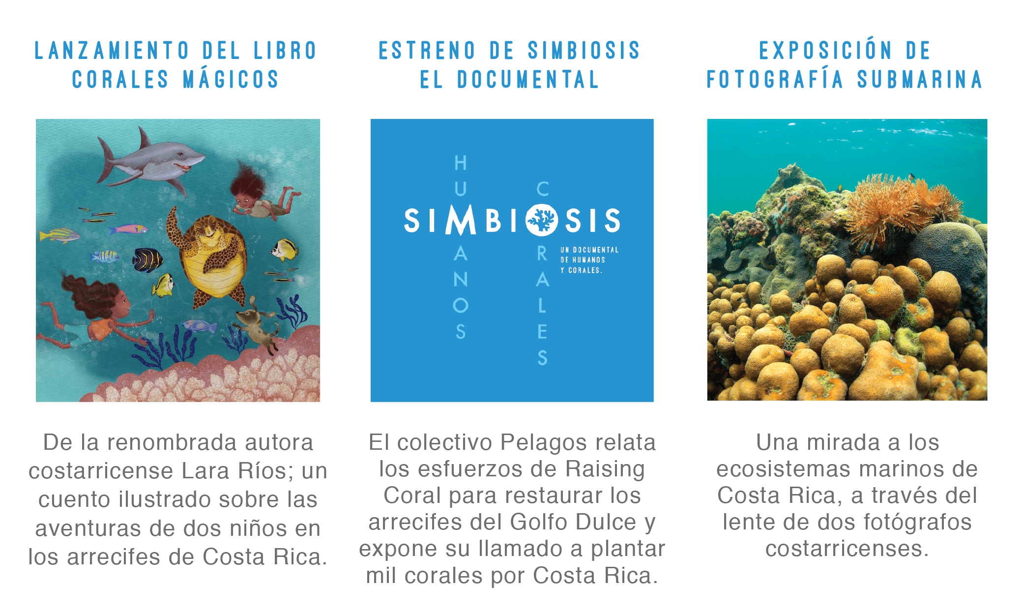invitacion_editable_latest-18.png