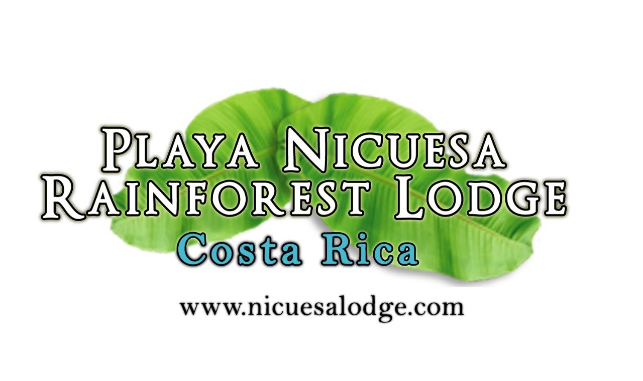 Playa Nicuesa Lodge.jpg