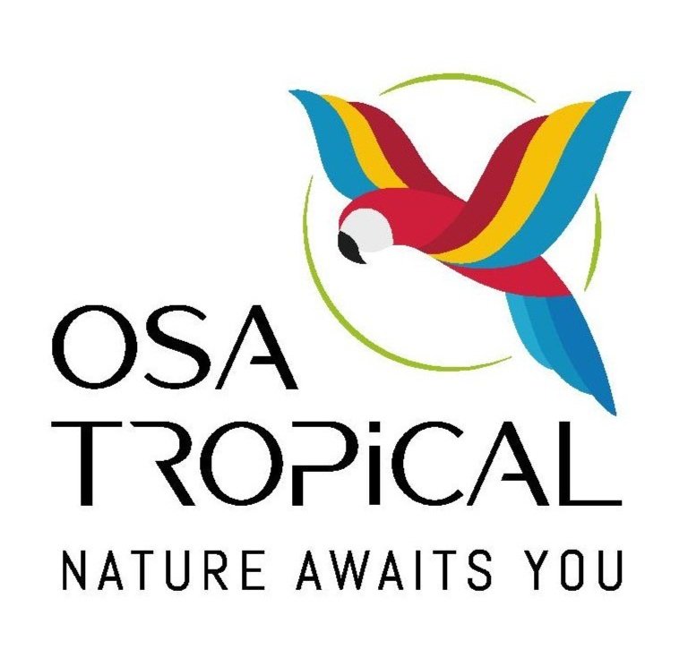 Logo+Osa+Tropical-Color%2C+Positivo%2C+Negativo-page-001.jpg