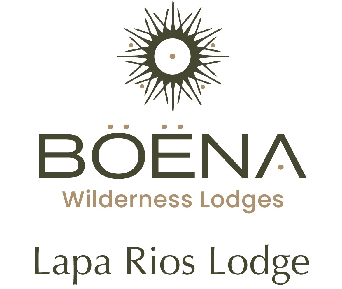 logo Boena - LR.jpg