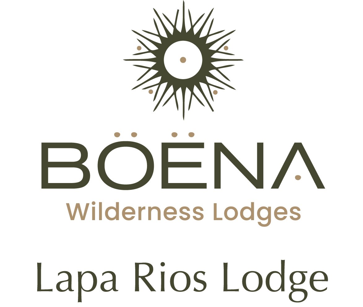 logo Boena - LR (1).jpg