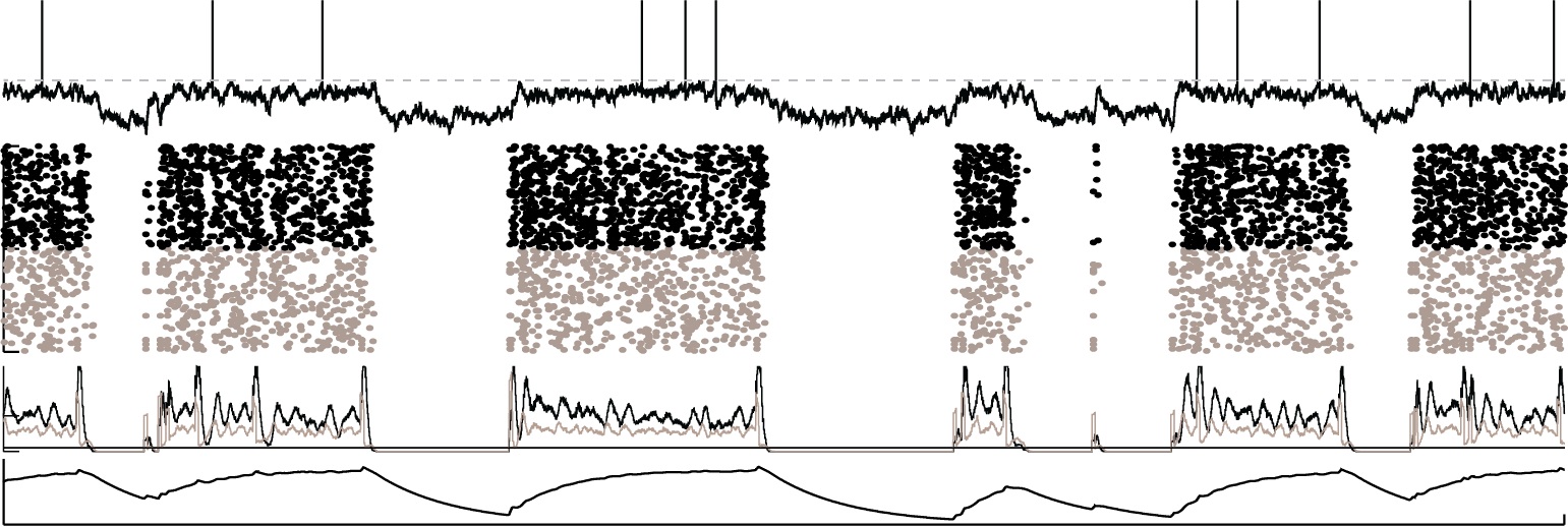 UP/DOWN states from a spiking network model