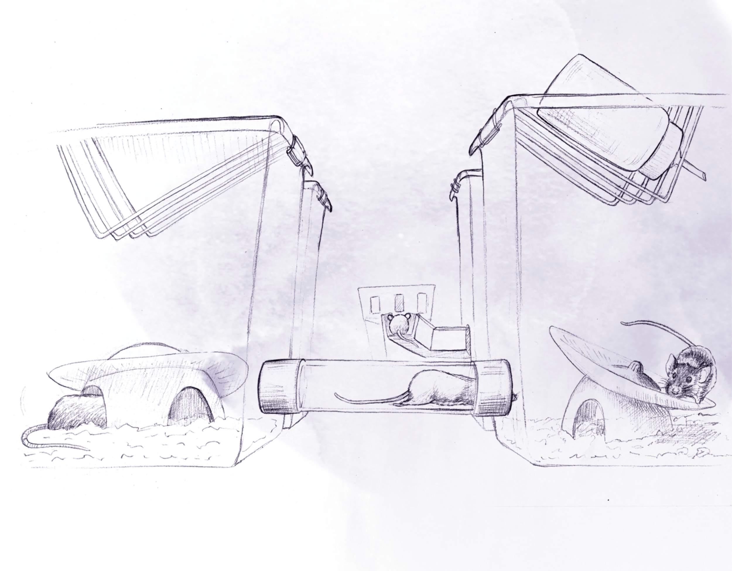 The Training Village is now available as an open-source tool for rodent training!