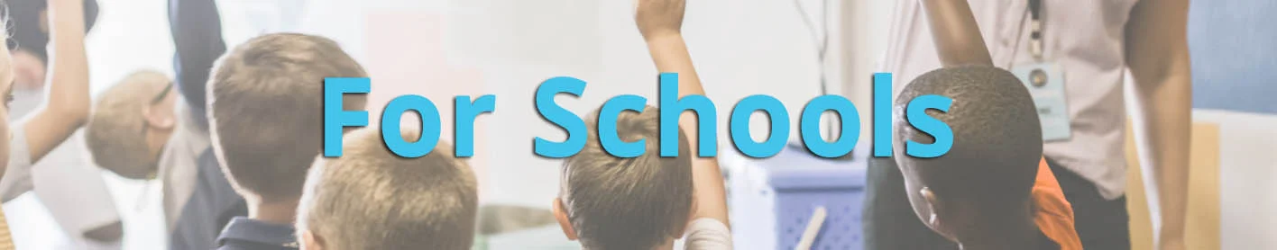 For Schools website block.jpg