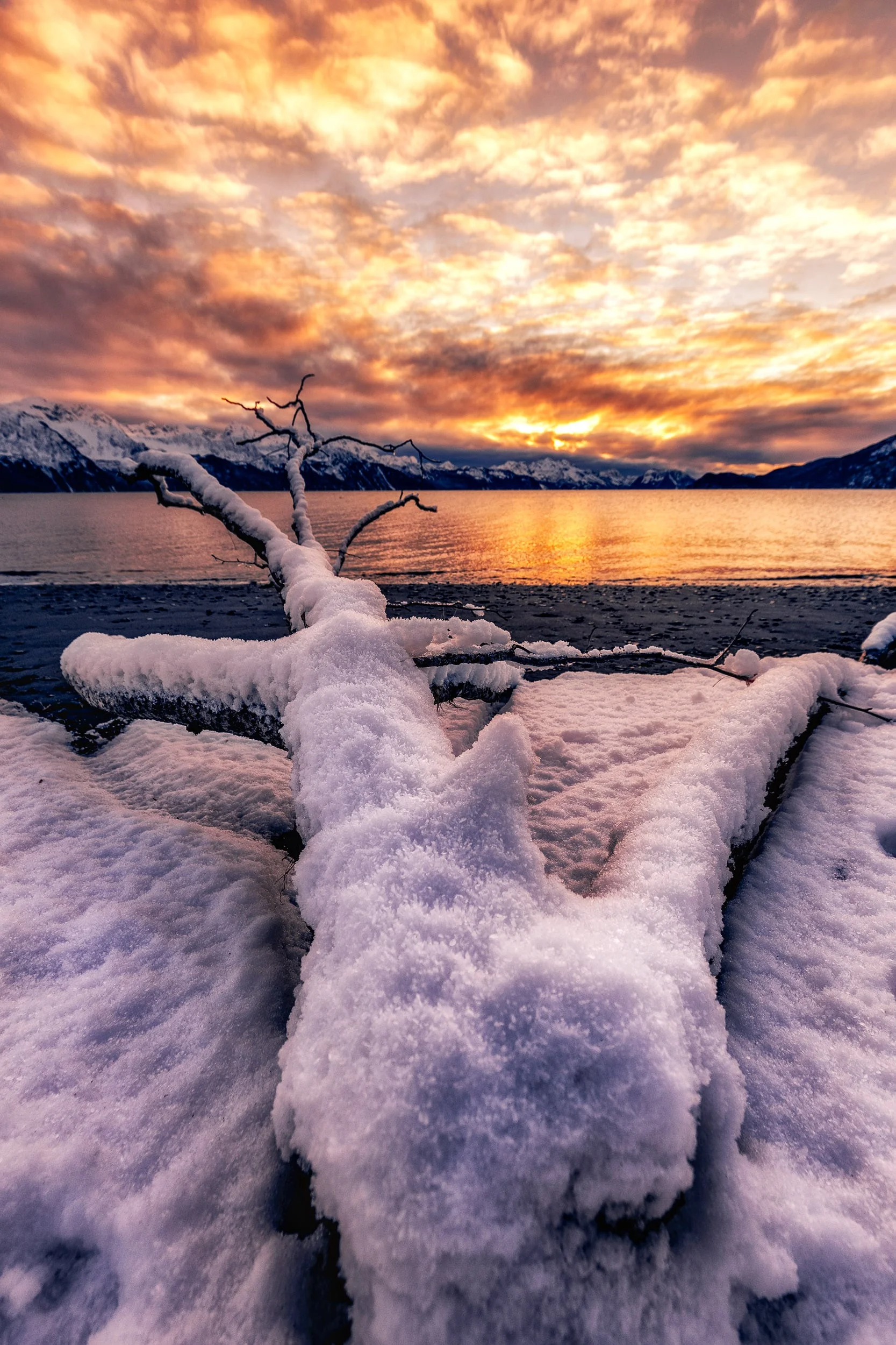 IMG_2963-Edit.jpg