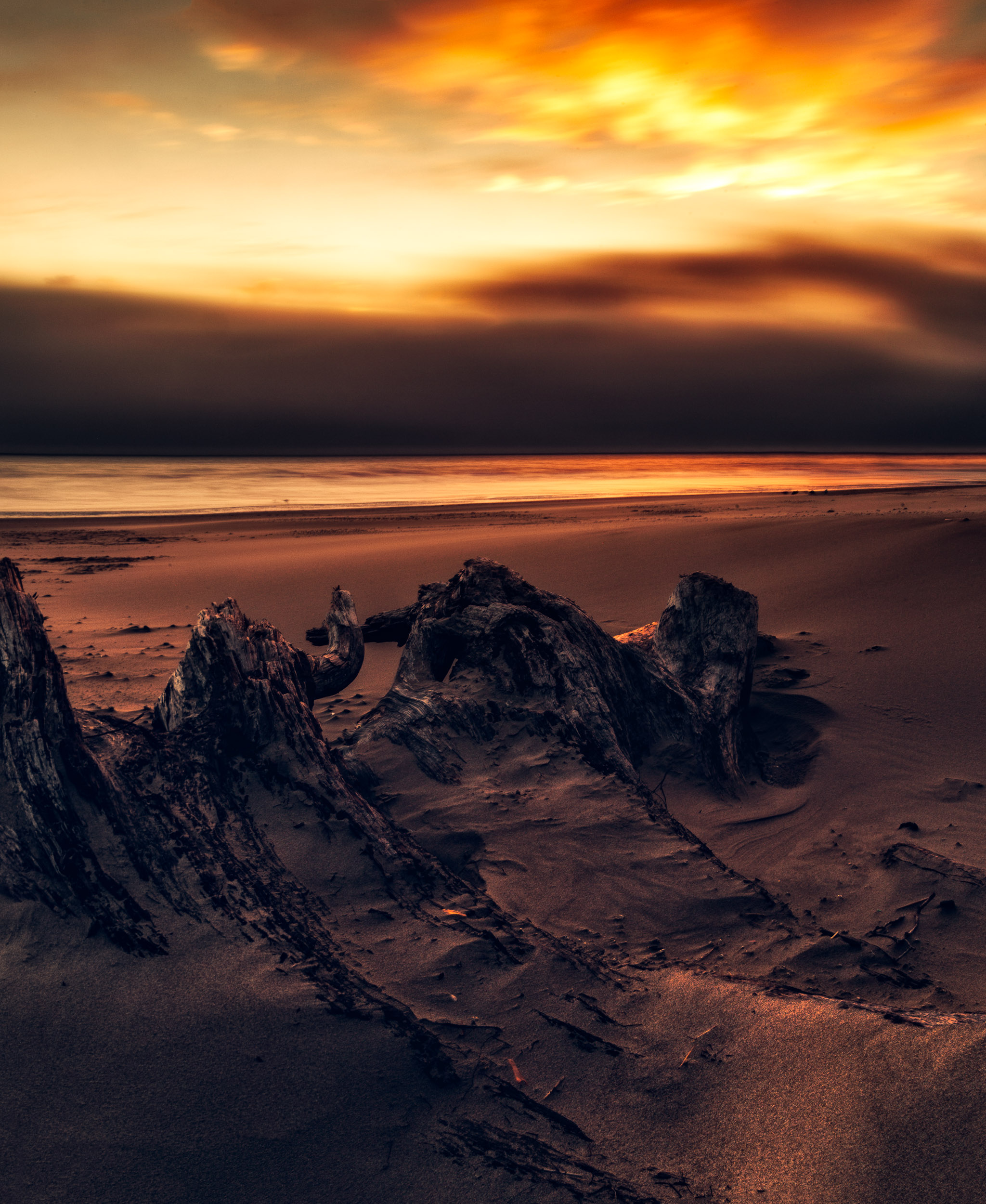 IMG_8201-Edit-2.jpg