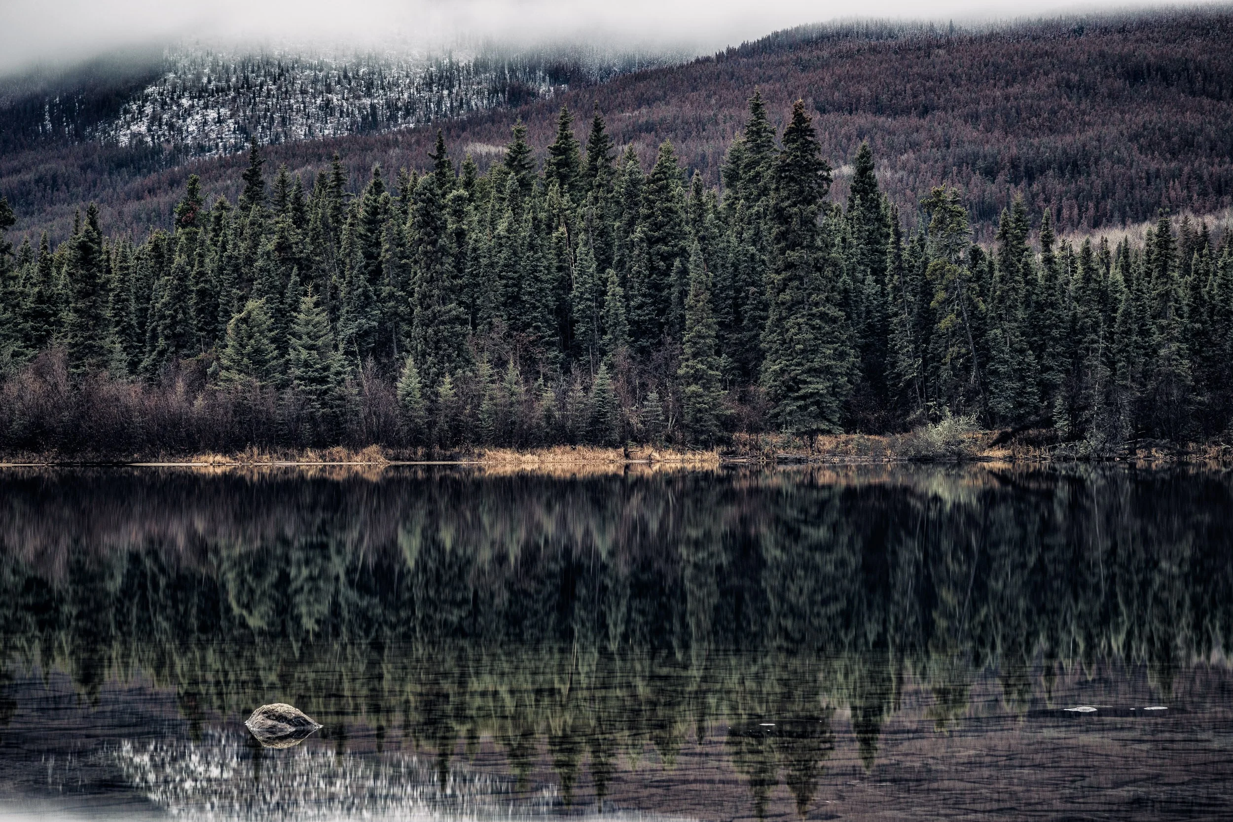 IMG_3415-Edit.jpg