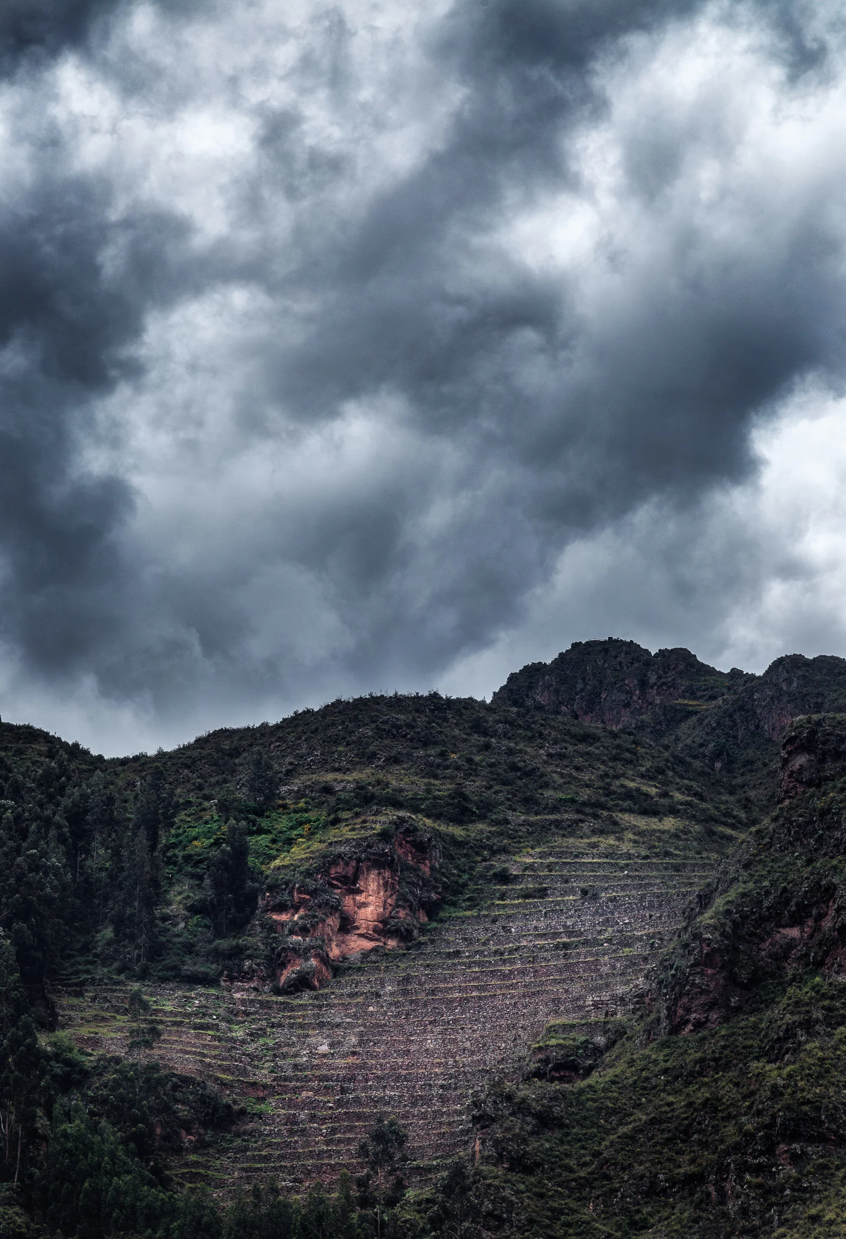 IMG_1206-Edit.jpg