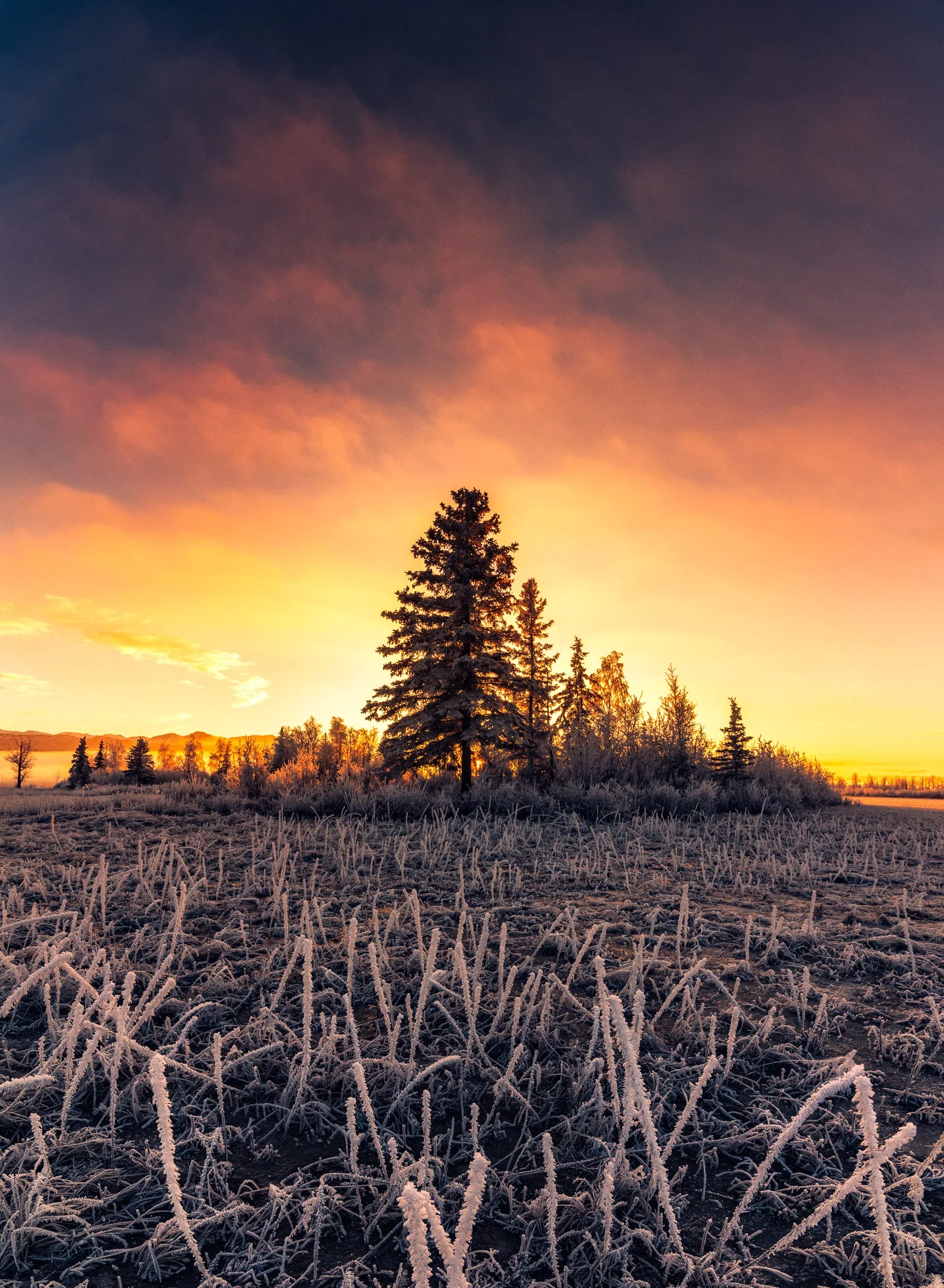 IMG_3677-Pano-Edit.jpg
