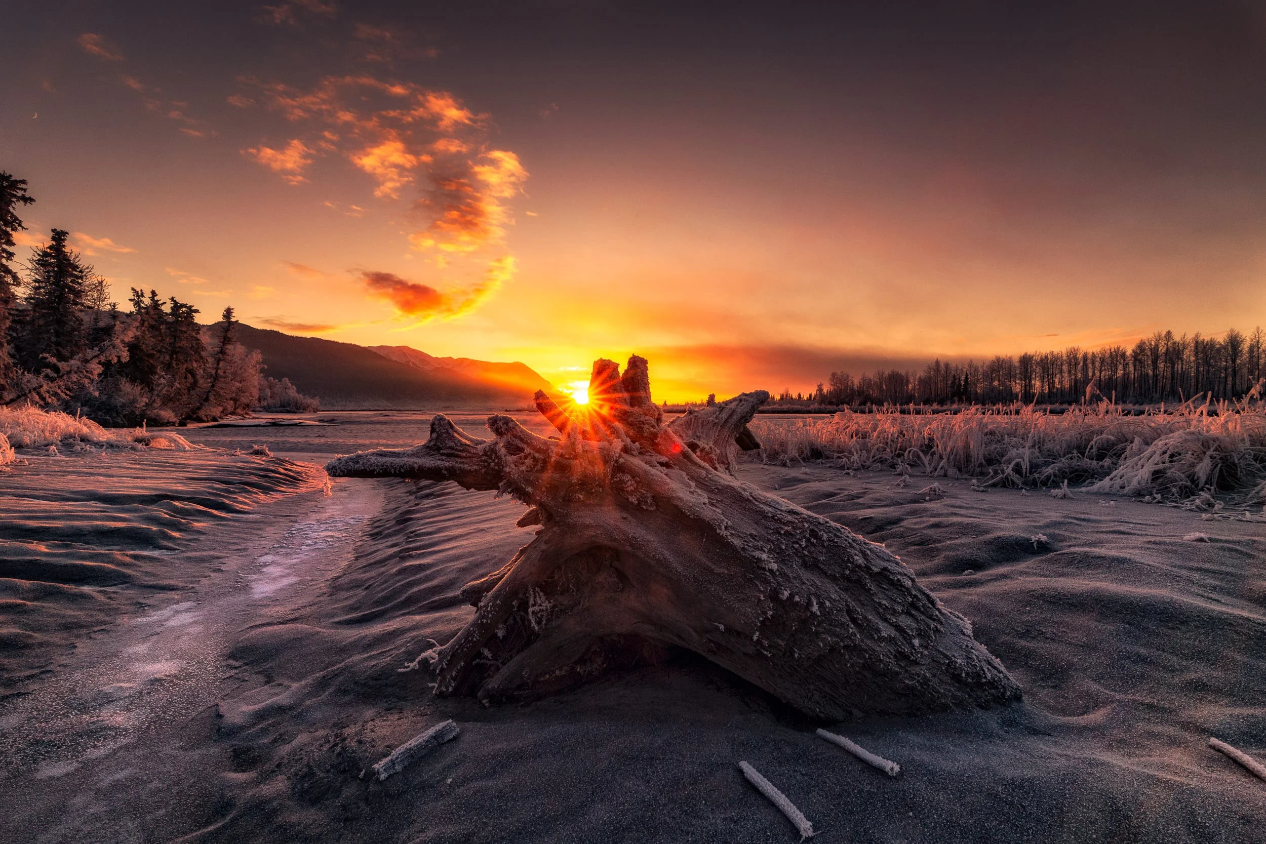 IMG_3712-Edit.jpg
