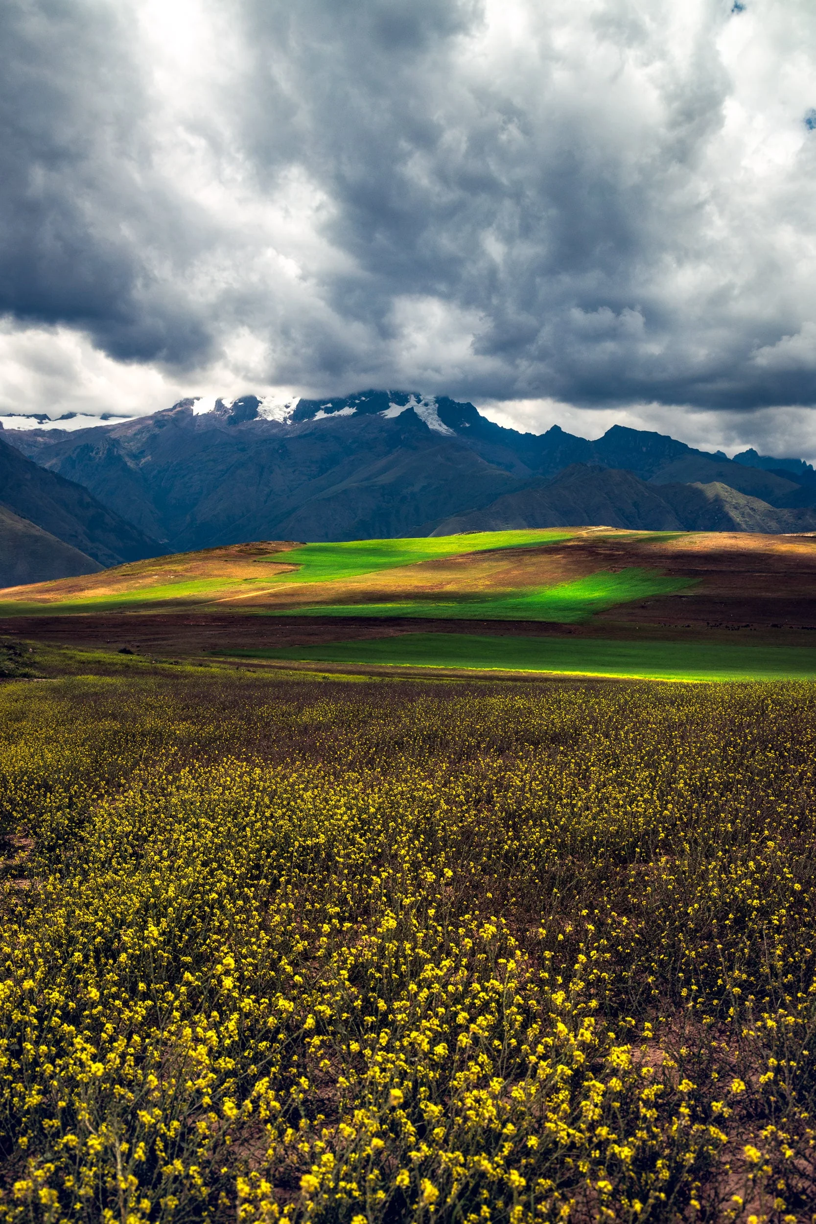 IMG_0147-Edit.jpg
