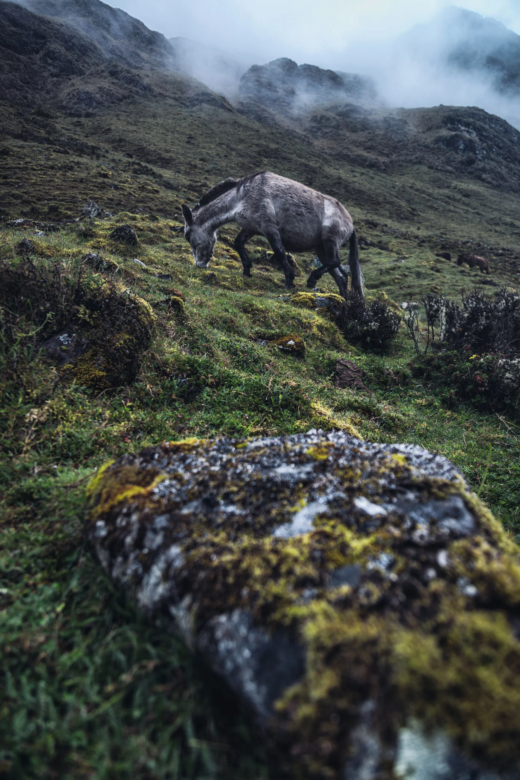IMG_8783-Edit.jpg