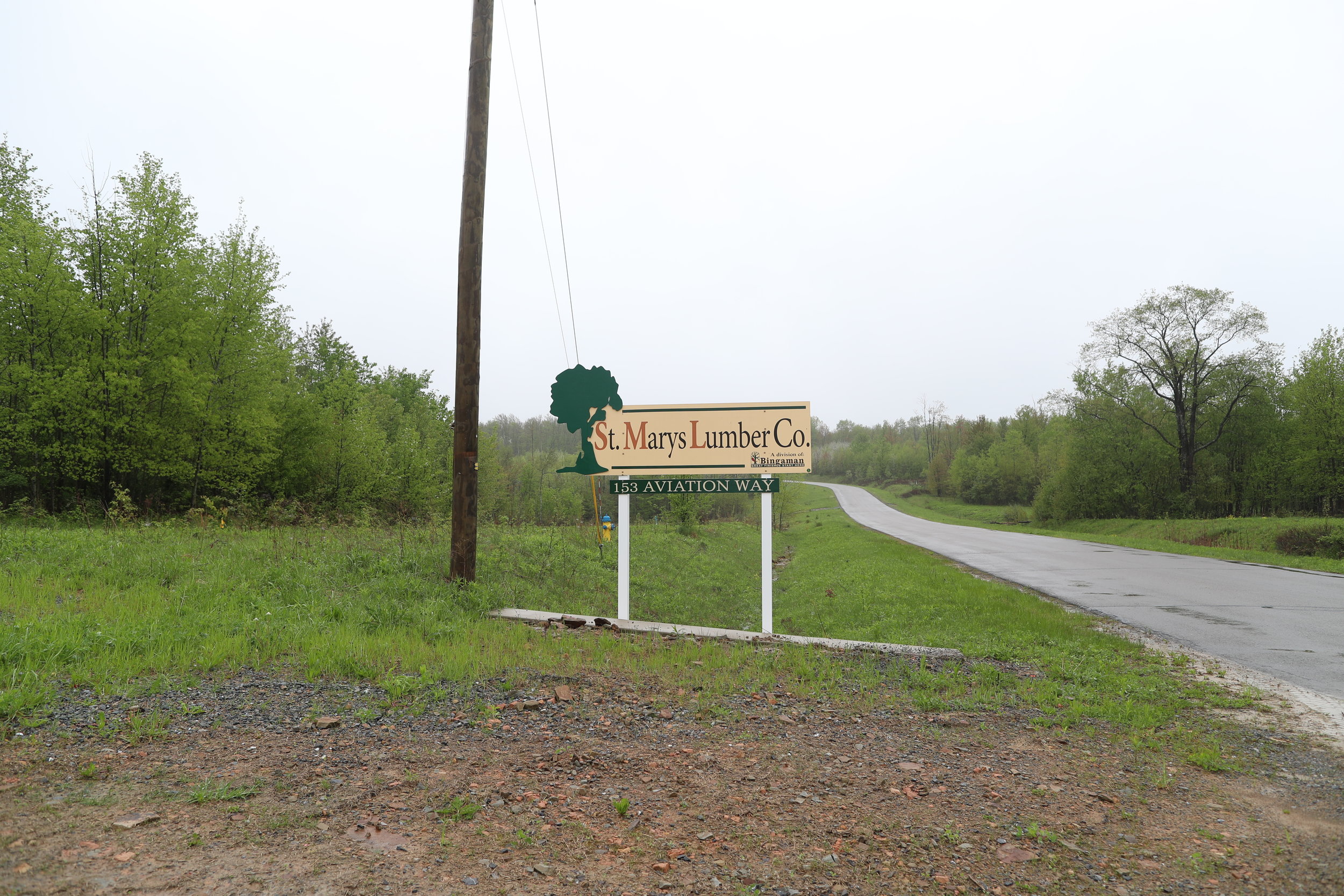 A50I5332.JPG