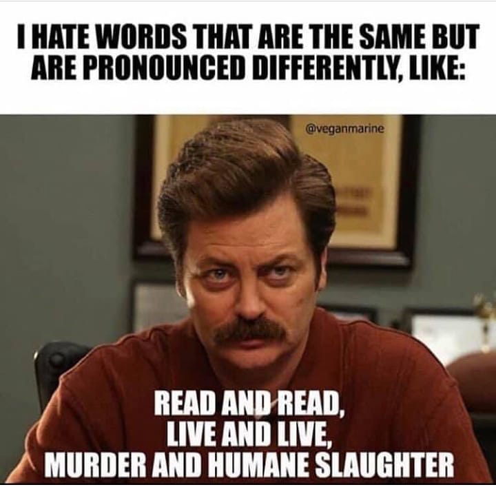 Homonym.png