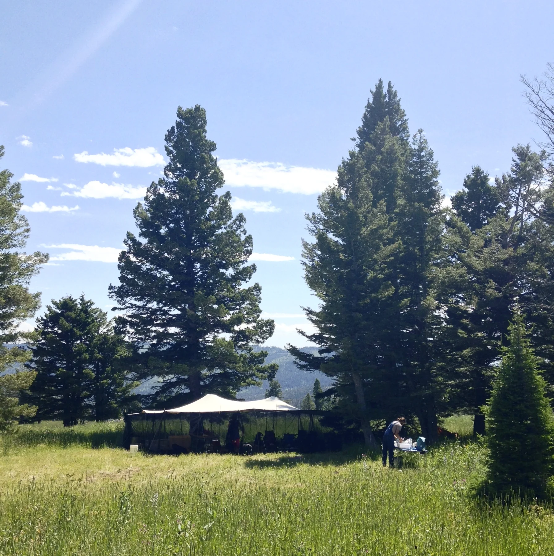 Basecamp, outside of Bozeman, MT