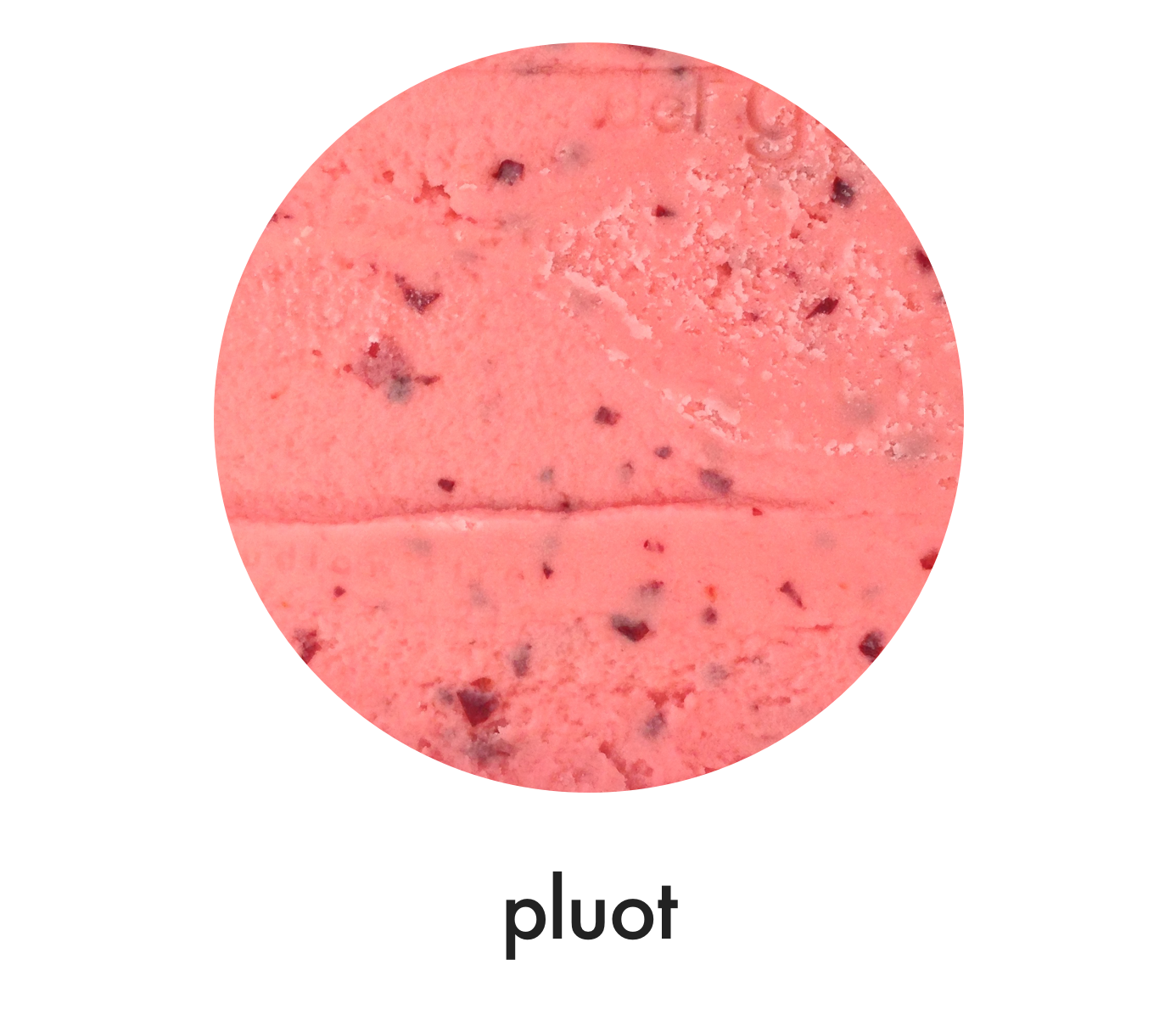 Sorbet Flavors Il Laboratorio Del Gelato