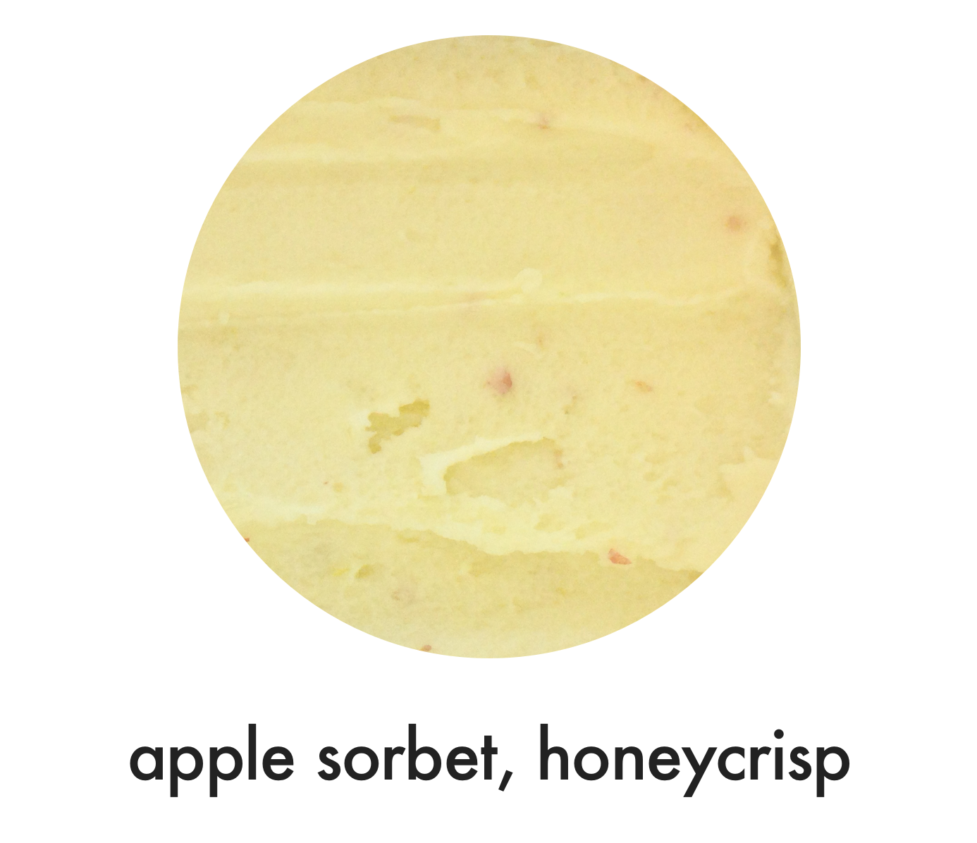 Sorbet Flavors Il Laboratorio Del Gelato
