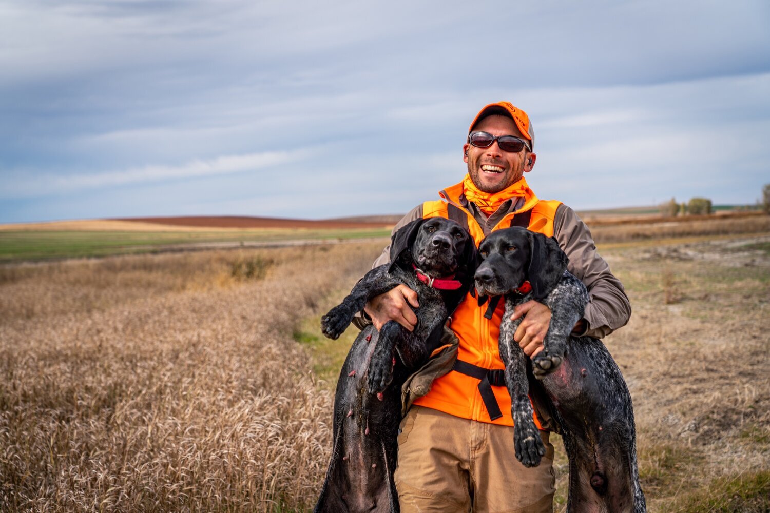 Is There Pet Insurance with No Waiting Period? — Standing Stone Kennels